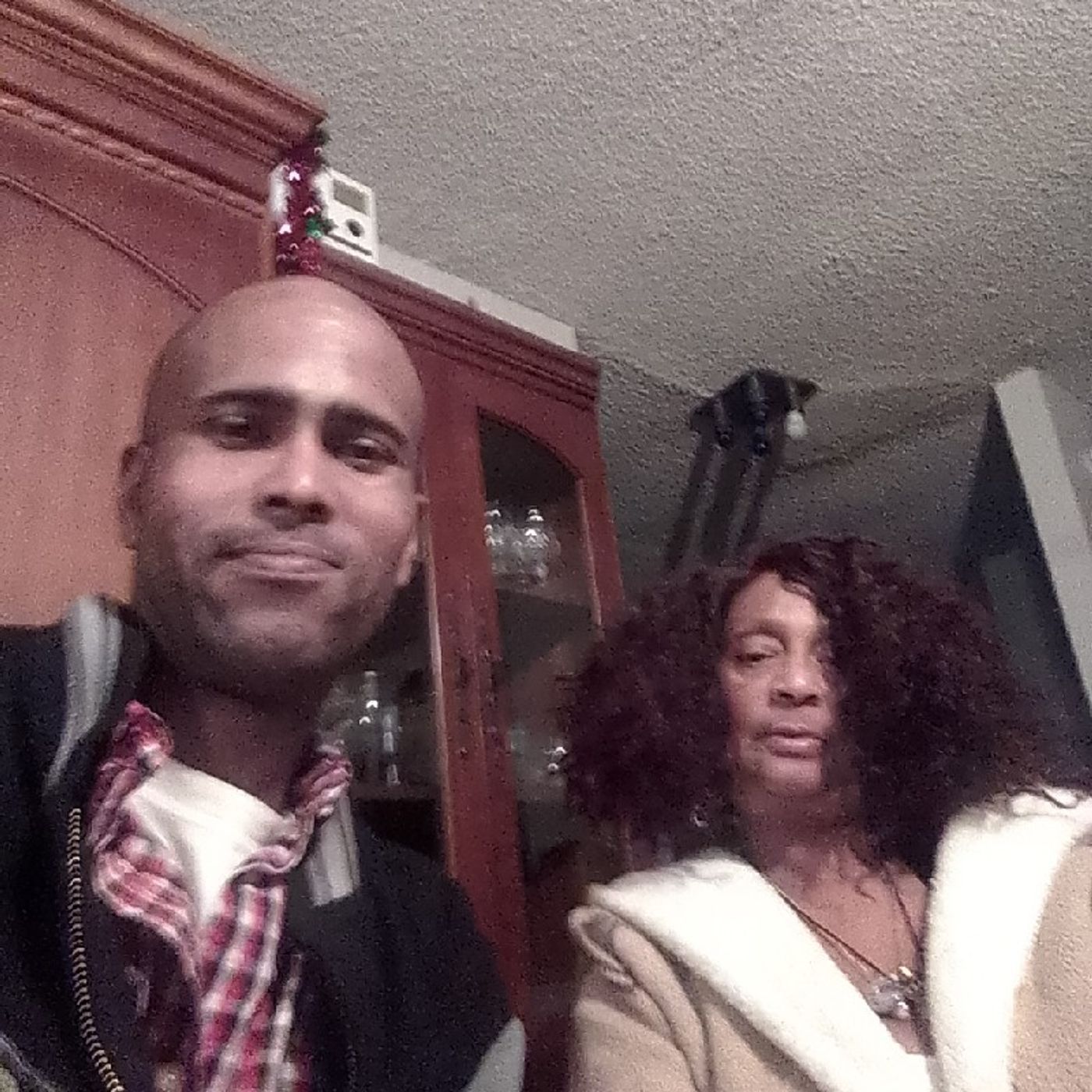 Professor Artist understand thd