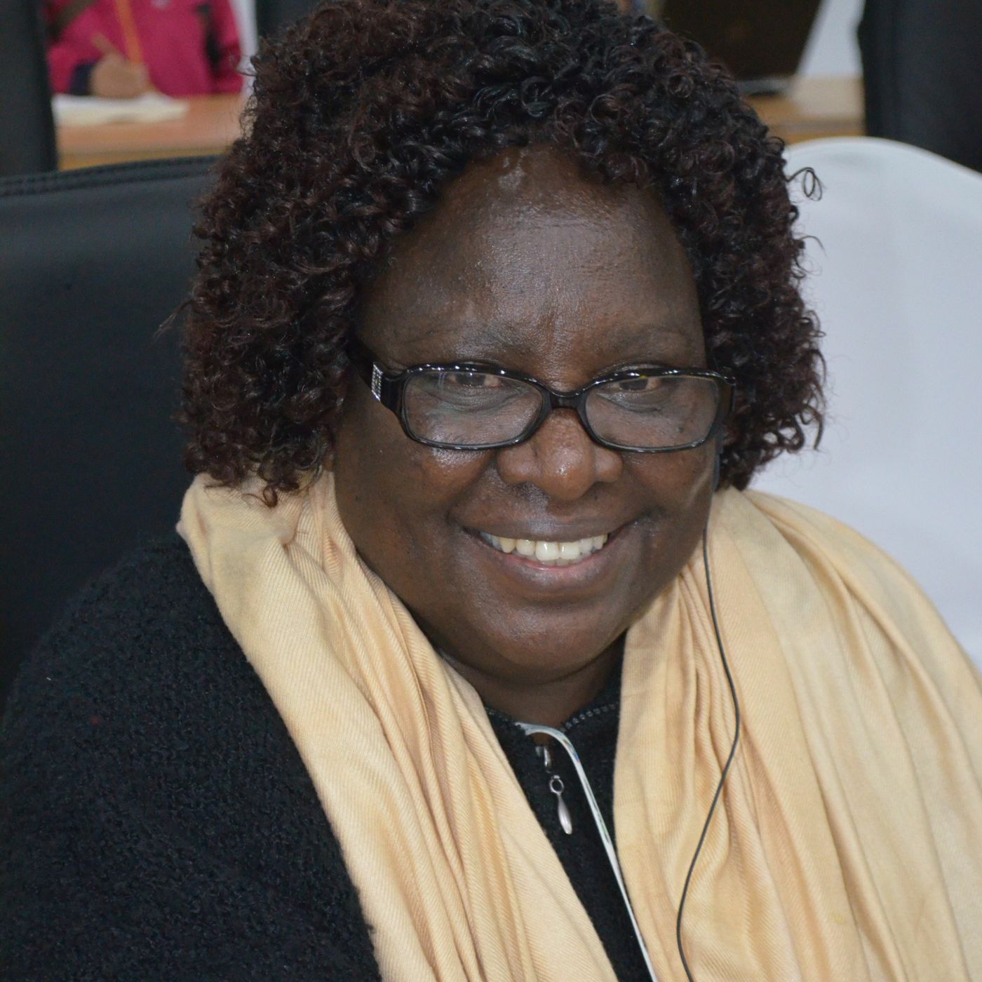 Indigenous Peoples Are Working To Ensure That The Global Biodiversity Framework Succeeds