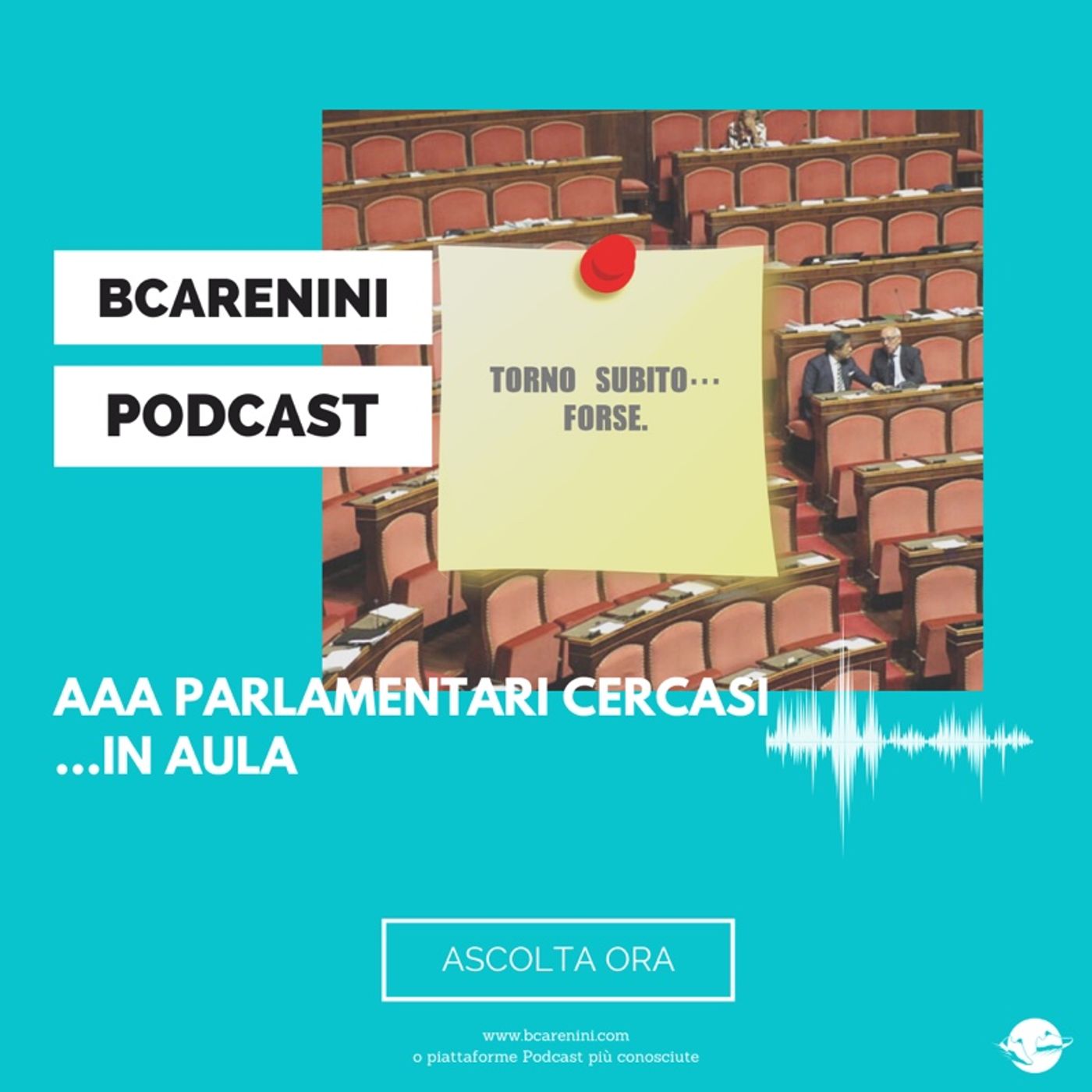 bcarenini