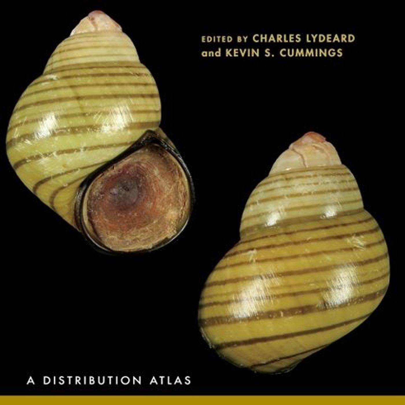 Freshwater Mollusks of the World: A Distribution Atlas