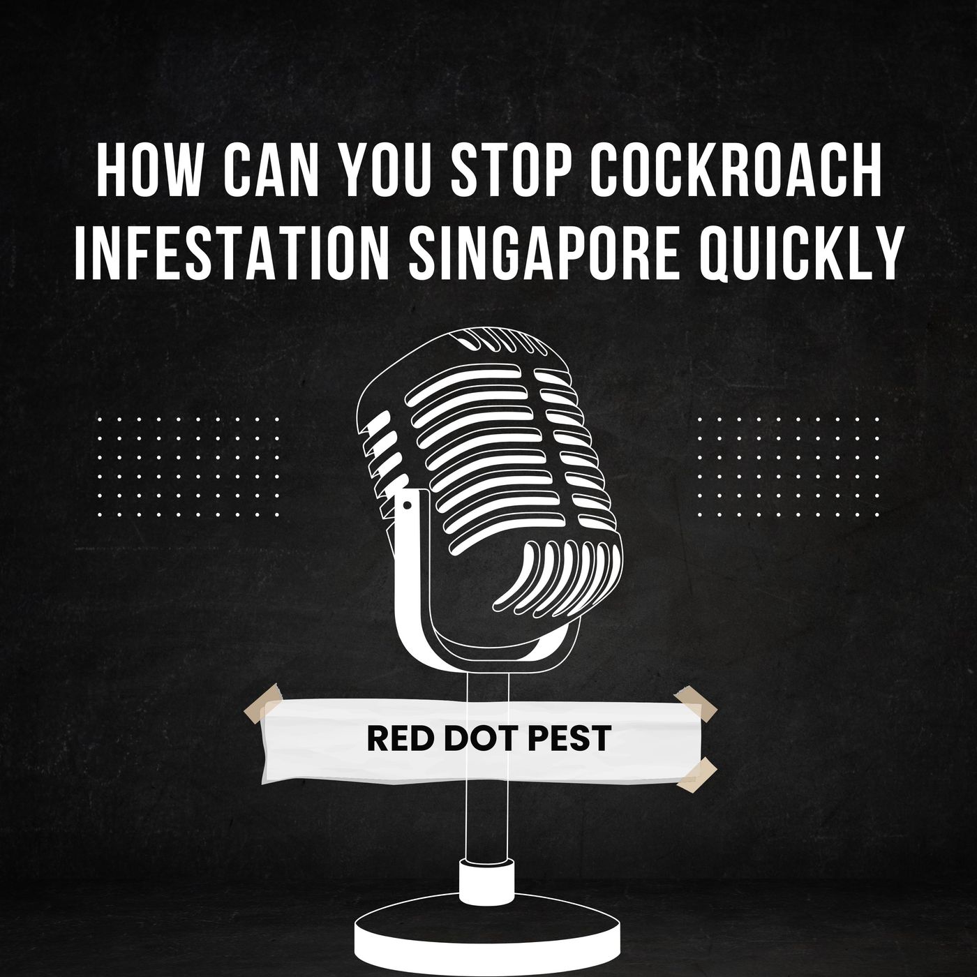 How Can You Stop Cockroach Infestation Singapore Quickly episode artwork