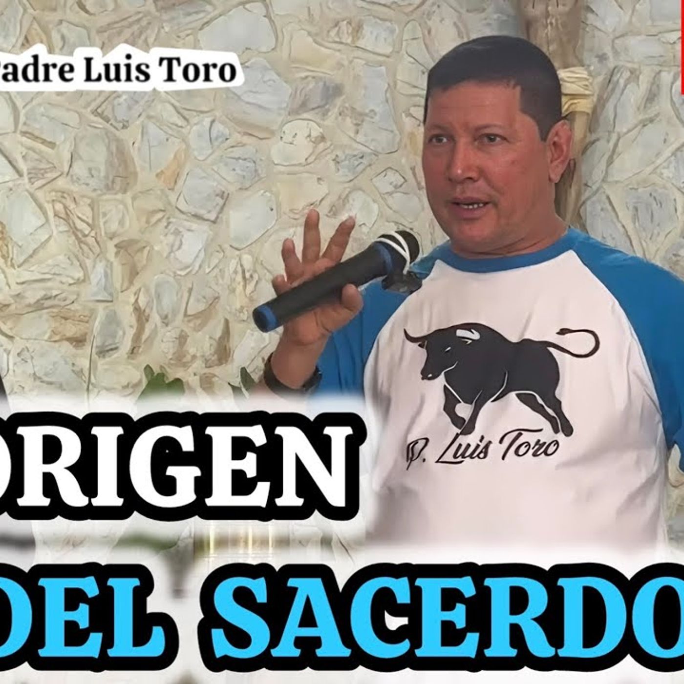 38-26_ _¿POR QUÉ Existimos Los SACERDOTES____ Padre LUIS TORO episode artwork