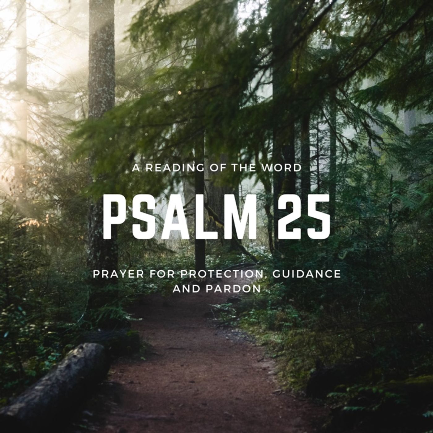 Psalm 25 episode artwork