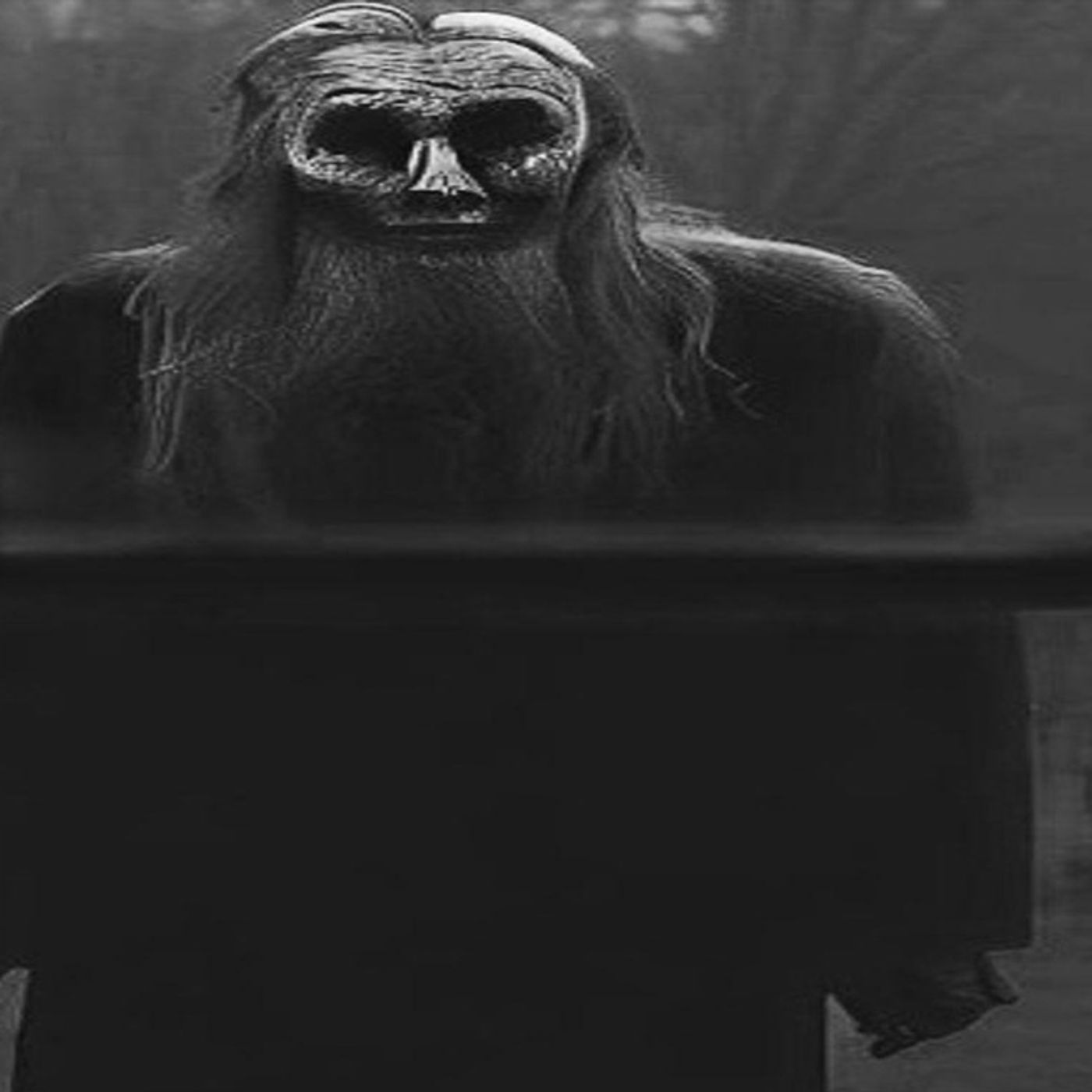 Mi Vecino Es Brujo Y Nos Puso Una Maldición Historias De Terror - Voces De La Noche