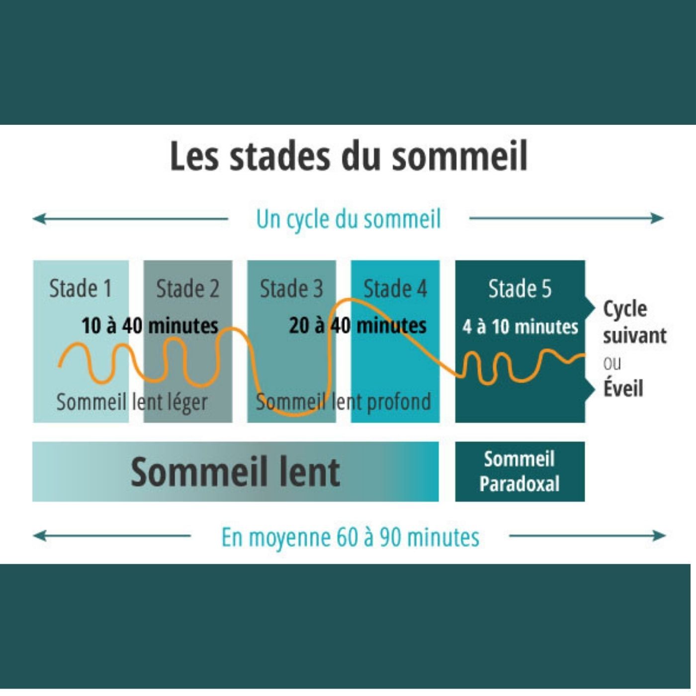 Les cycles du sommeil episode artwork