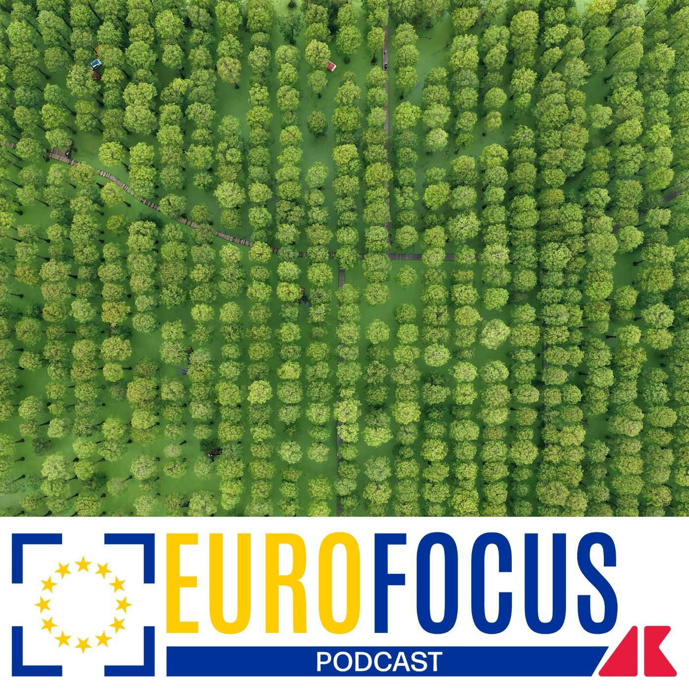 Accordo sul clima in vista della Cop30 episode artwork