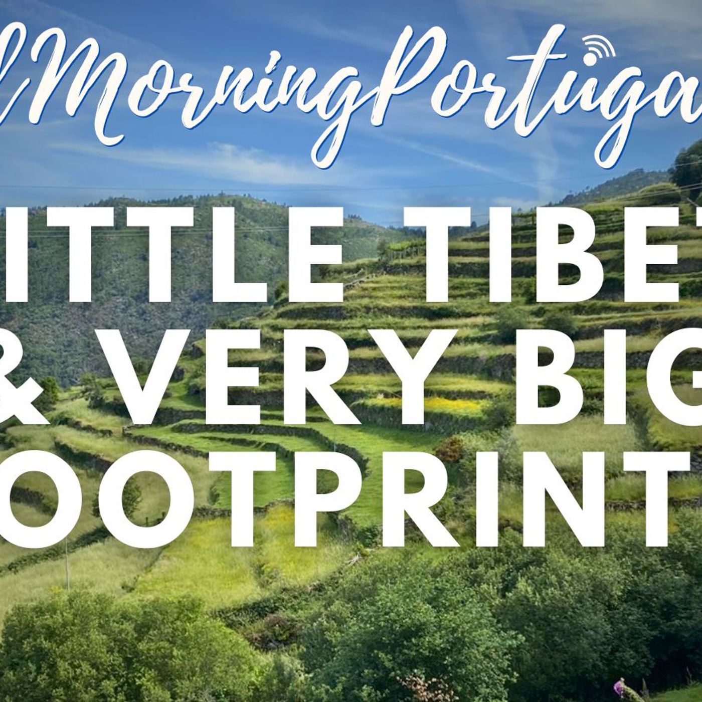 Little Tibet & Big Footprints on Good Morning Portugal! #sistelo #portugal #dinosaurs