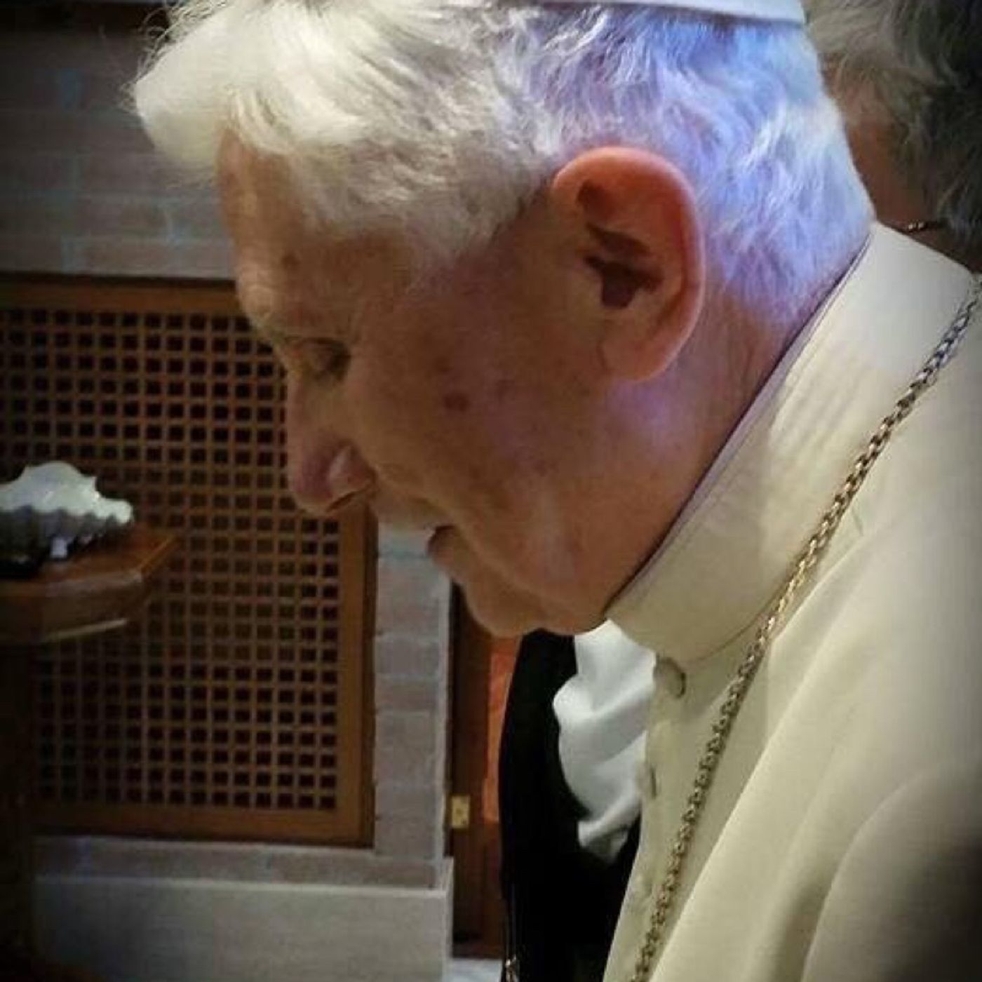 Papa Benedetto 16/SER Gänswein