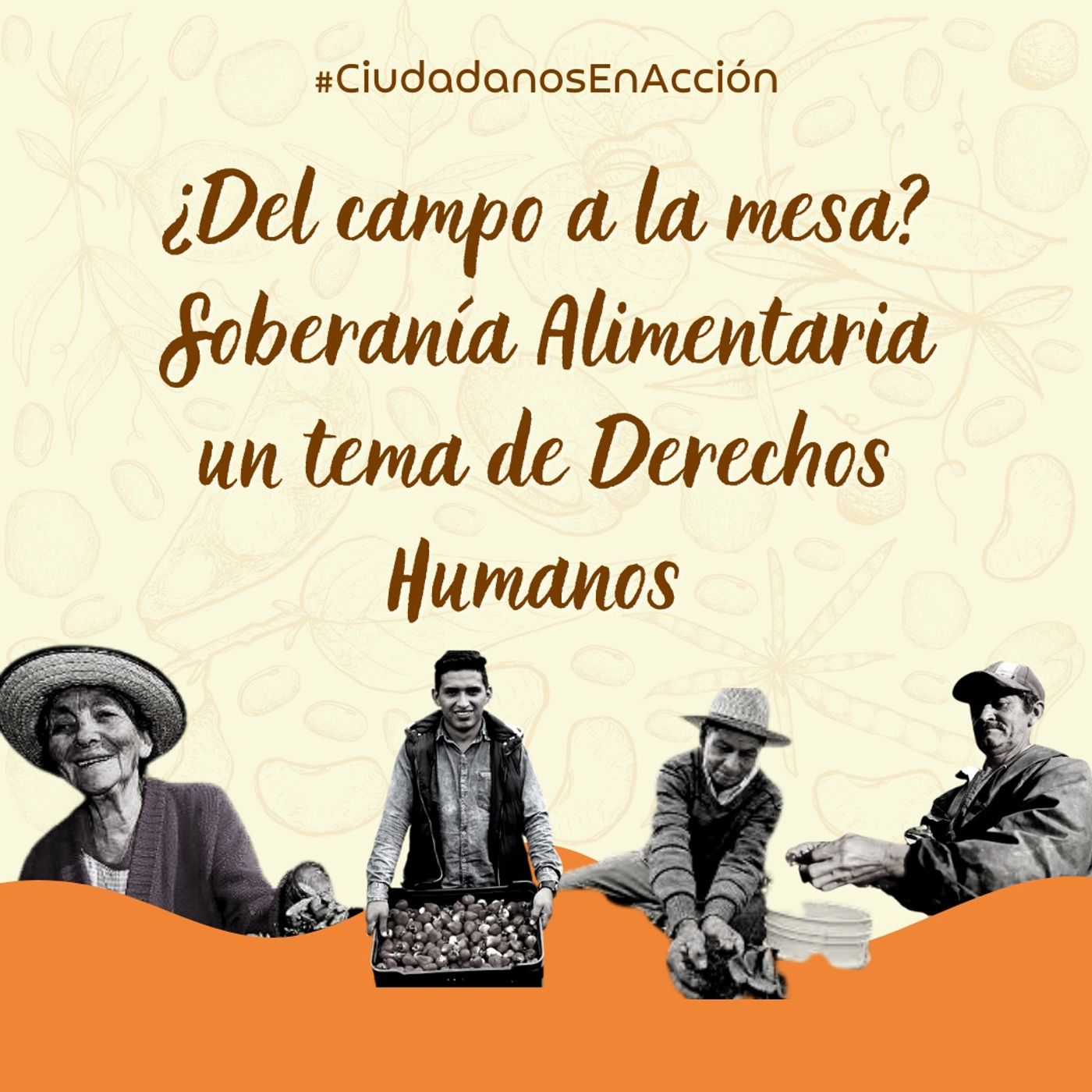 Portada de Ciudadanos en acción