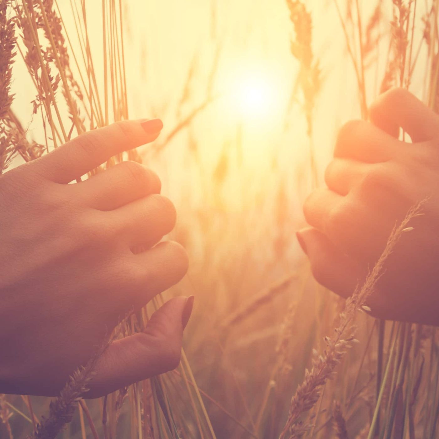 Meditate to Find Your Higher Self