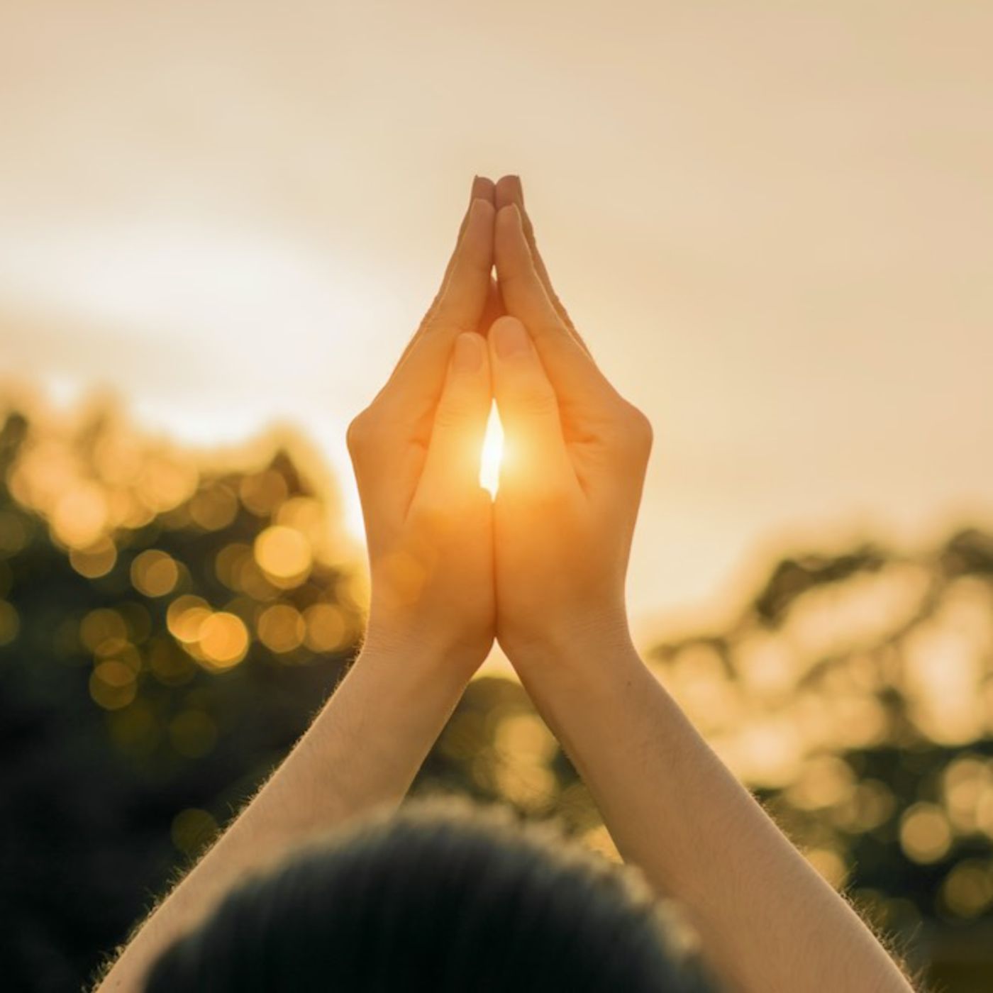 Meditaciones