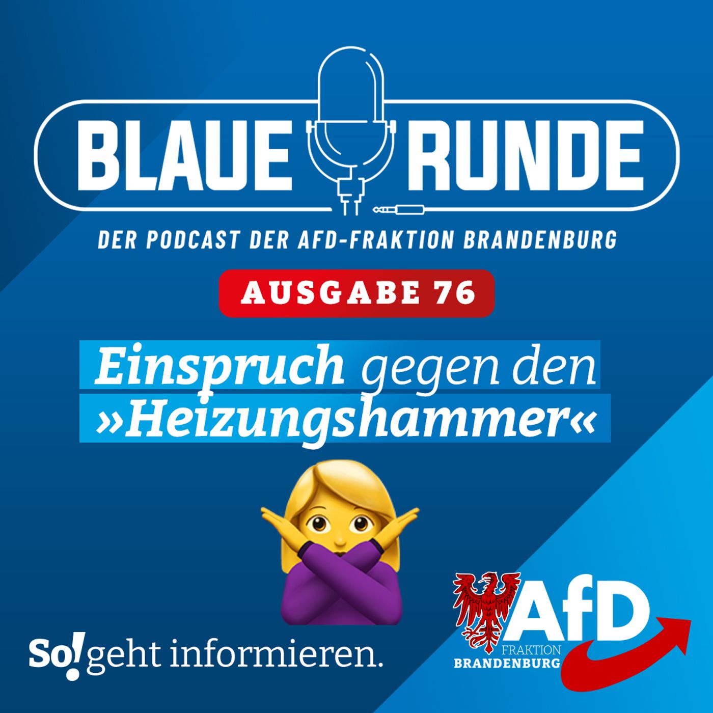 Die Blaue Runde - der Podcast der AfD-Fraktion Brandenburg