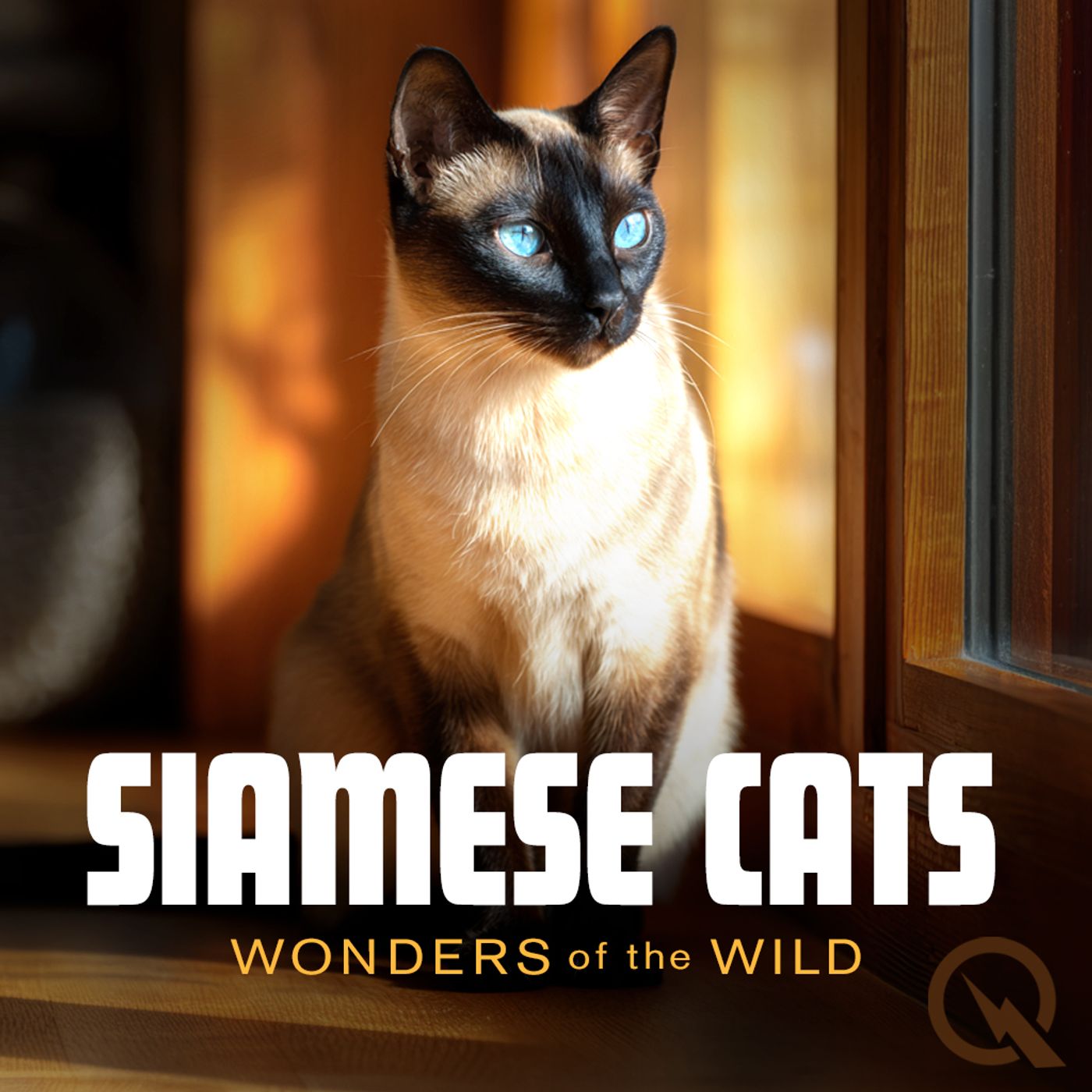 Siamese Cats Siamese Cats