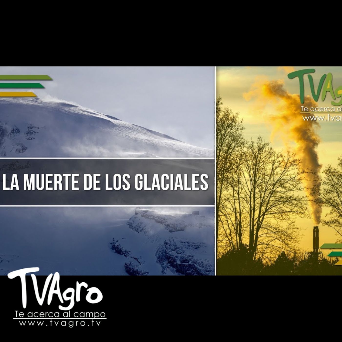 TV AGRO