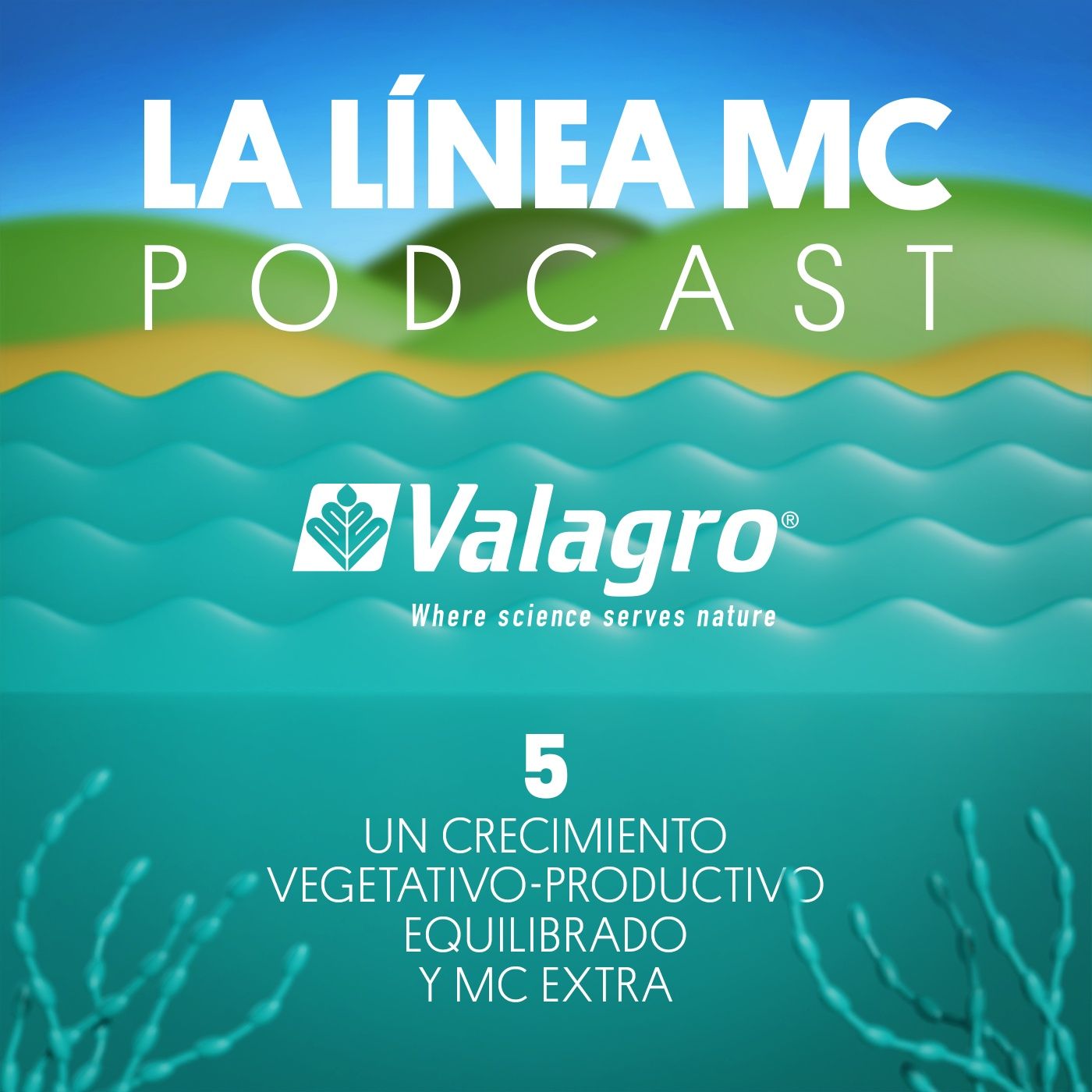 05. Un crecimiento vegetativo-productivo equilibrado y MC EXTRA