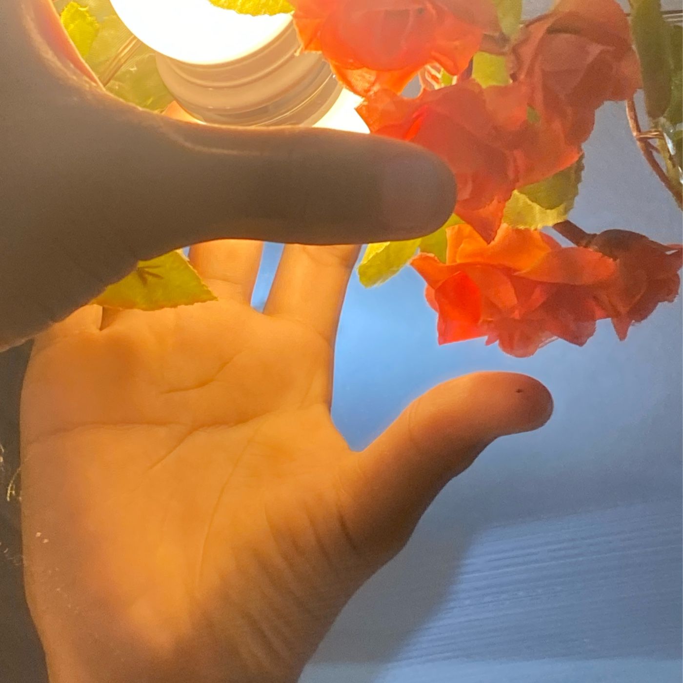 Sour Y Guts (Juan Ricardez)