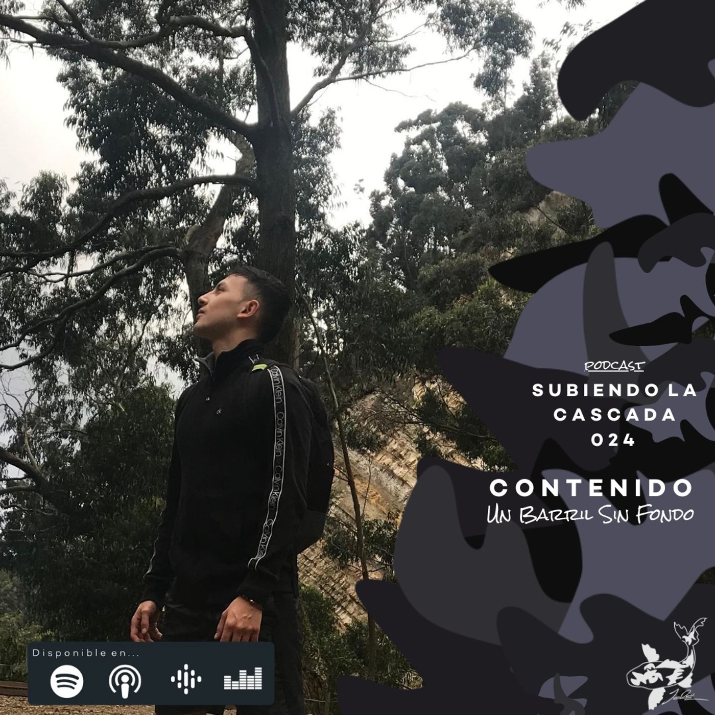 Subiendo La Cascada