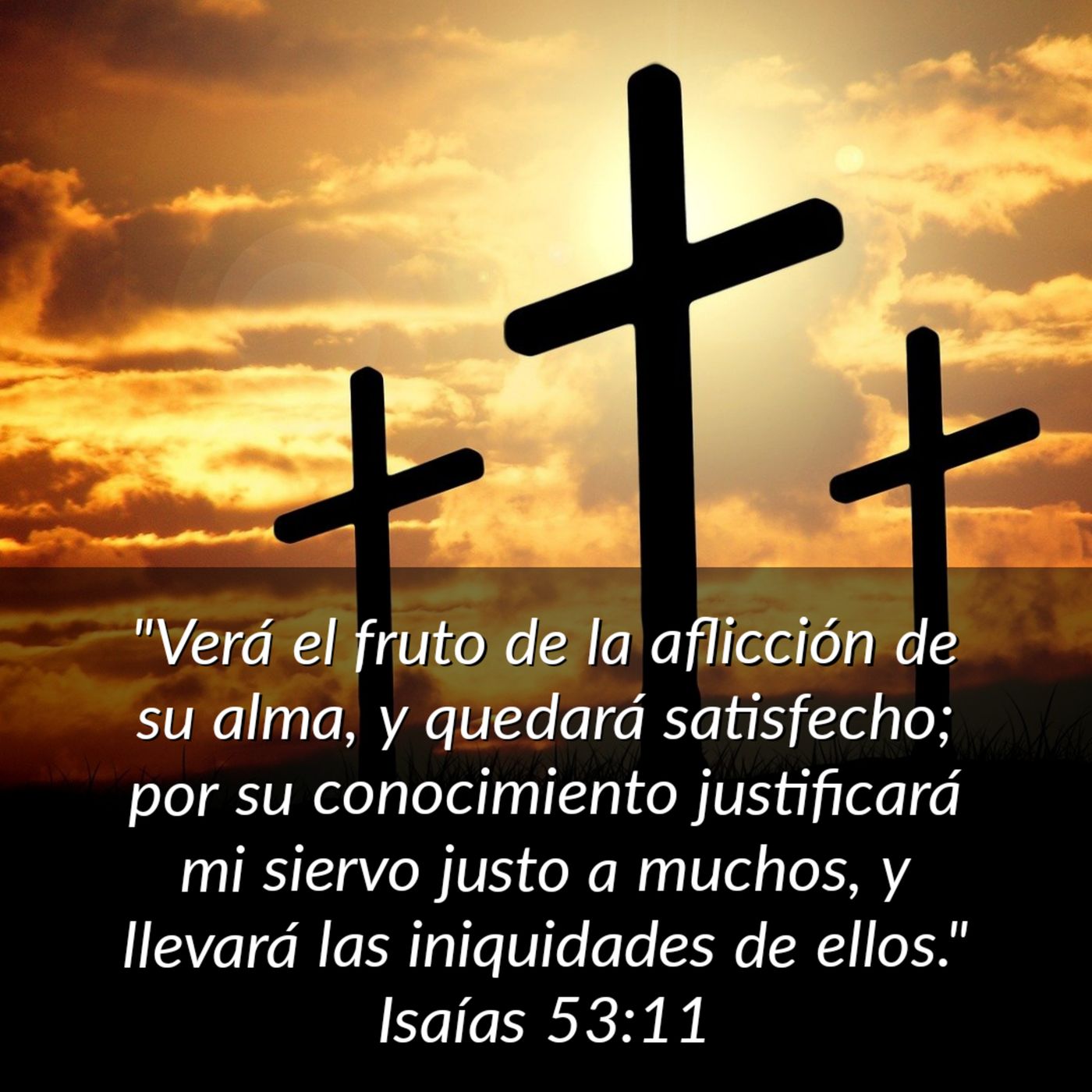 Ministerio UMCD - Un Momento Con Dios | Reflexiones Cristianas