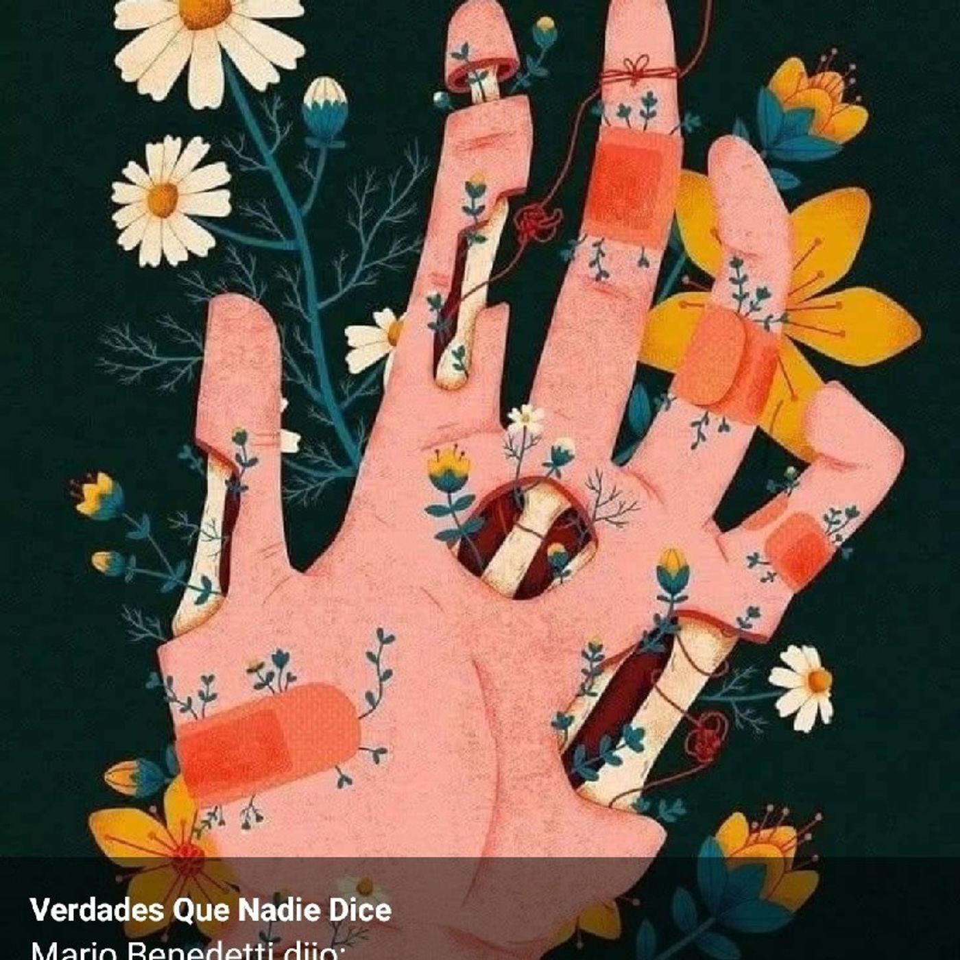 Historia de la educación episode artwork