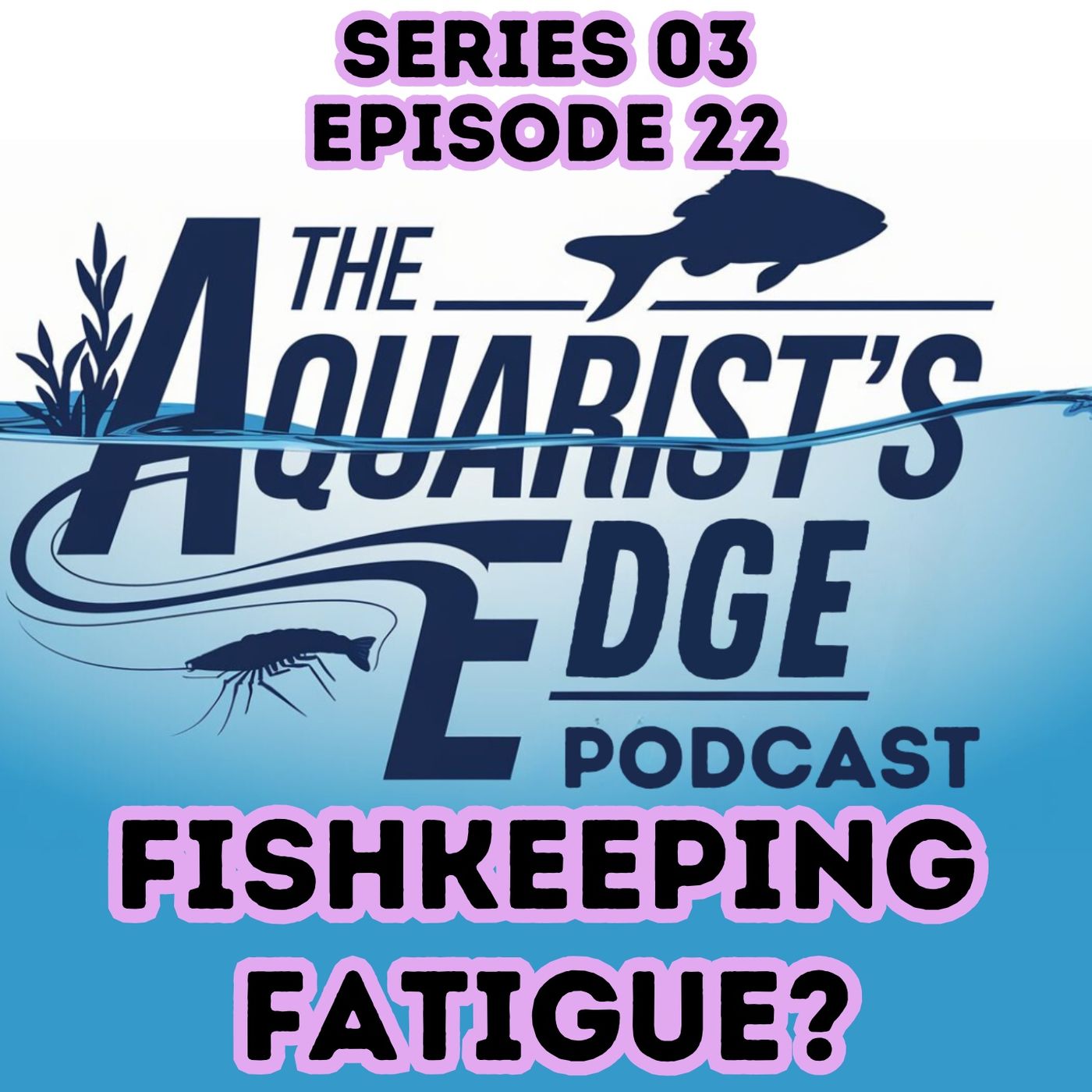Aquarium Burnout Is Real - How To Recover Without Quitting Fishkeeping