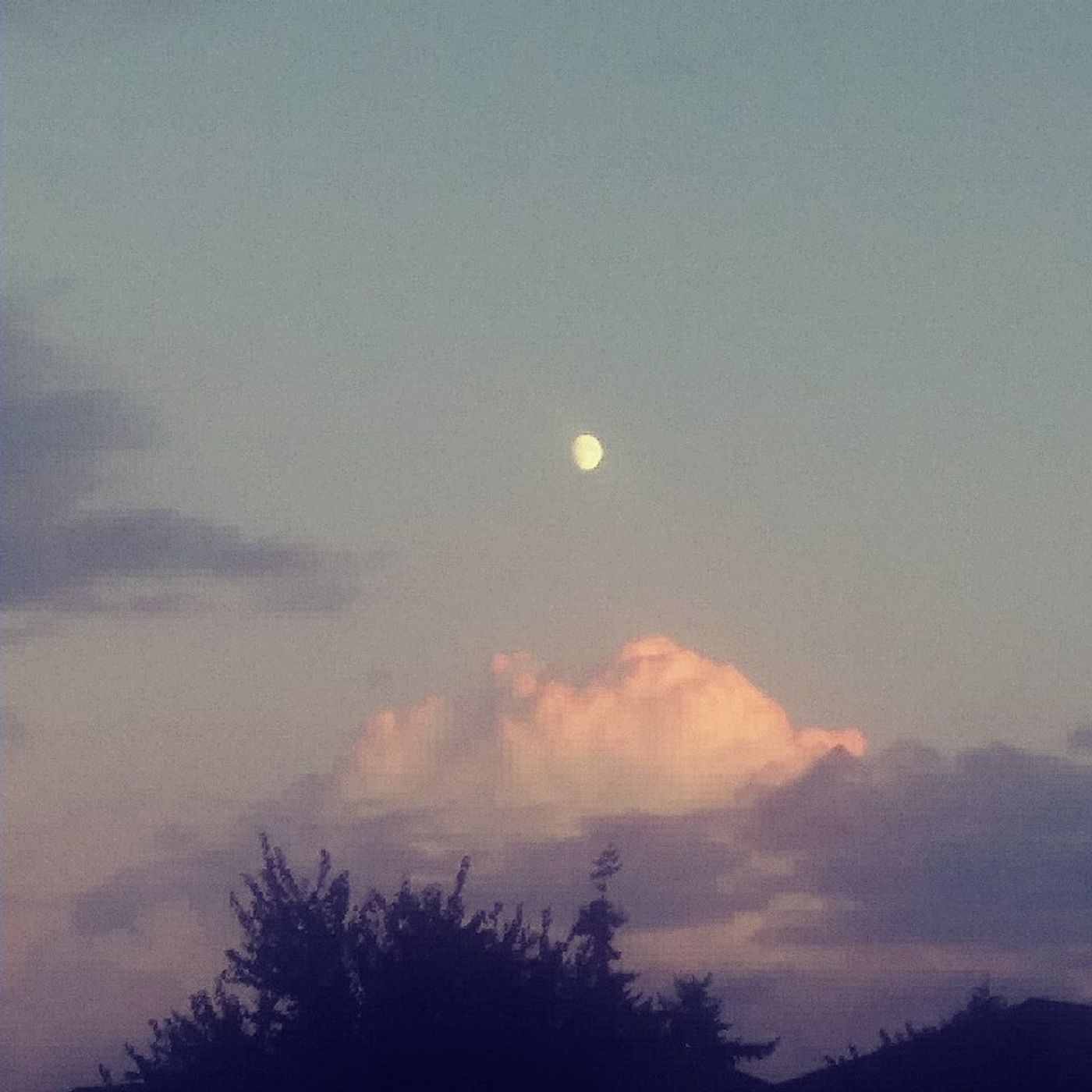 RIcky & The Brain Podcast cover art