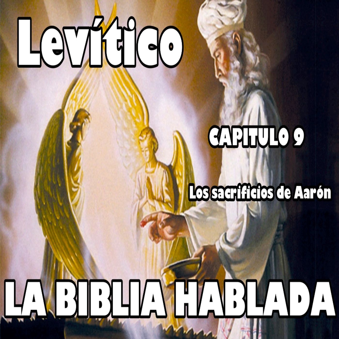 Levítico Capitulo 9. Los sacrificios de Aarón episode artwork