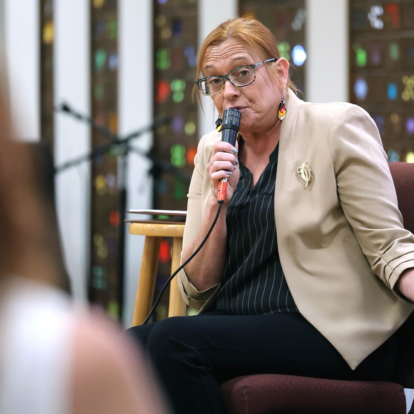 State Rep. Briel denies allegations of sexual harassment, misconduct during DeKalb town hall episode artwork