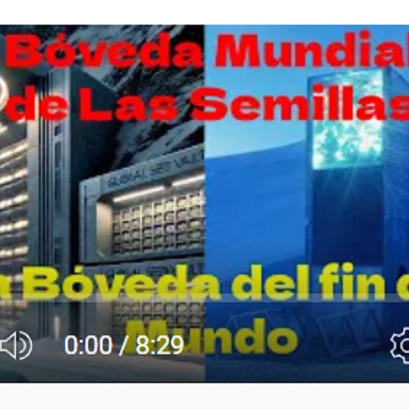 Bosque Digital Radio, La mejor Musica
