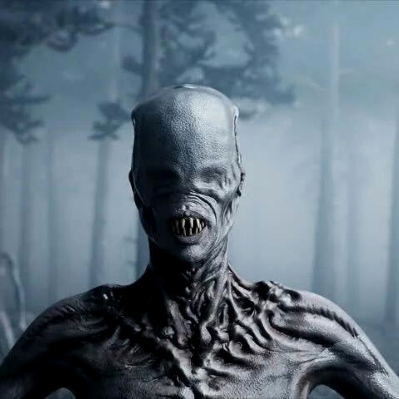 El Sendero De Los Nahuales Historias De Terror - REDE