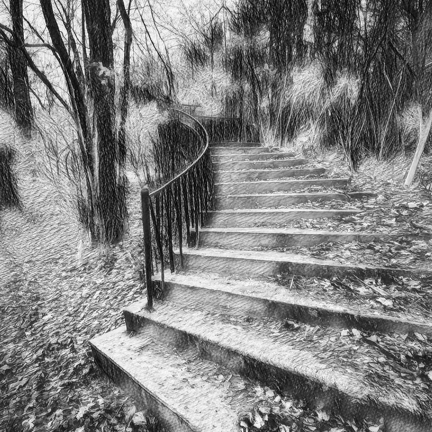 Search and rescue Woods - Capitolo 8 - CreepyPasta ITA episode artwork