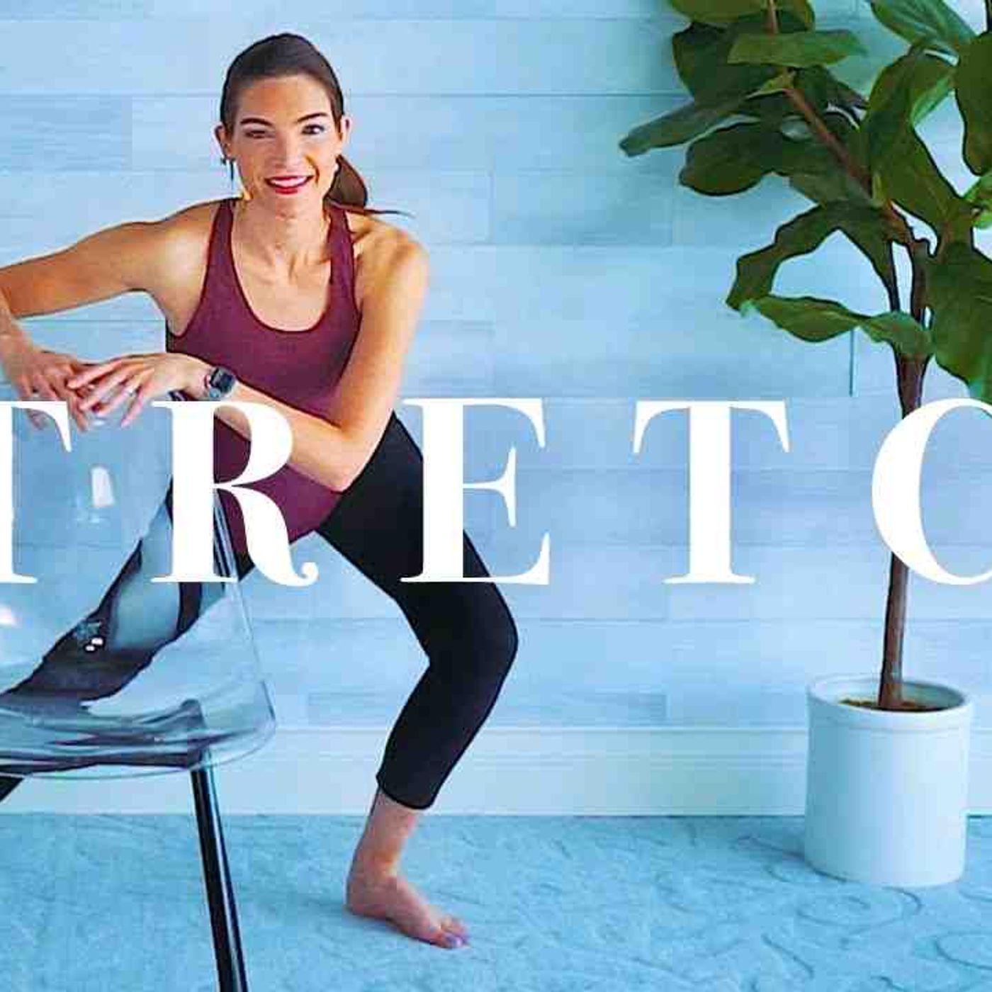 Stretching Exercises for Beginners _ Seniors __ Standing _ Seated Workout for Flexibility _ Mobility(MP3_160K) episode artwork