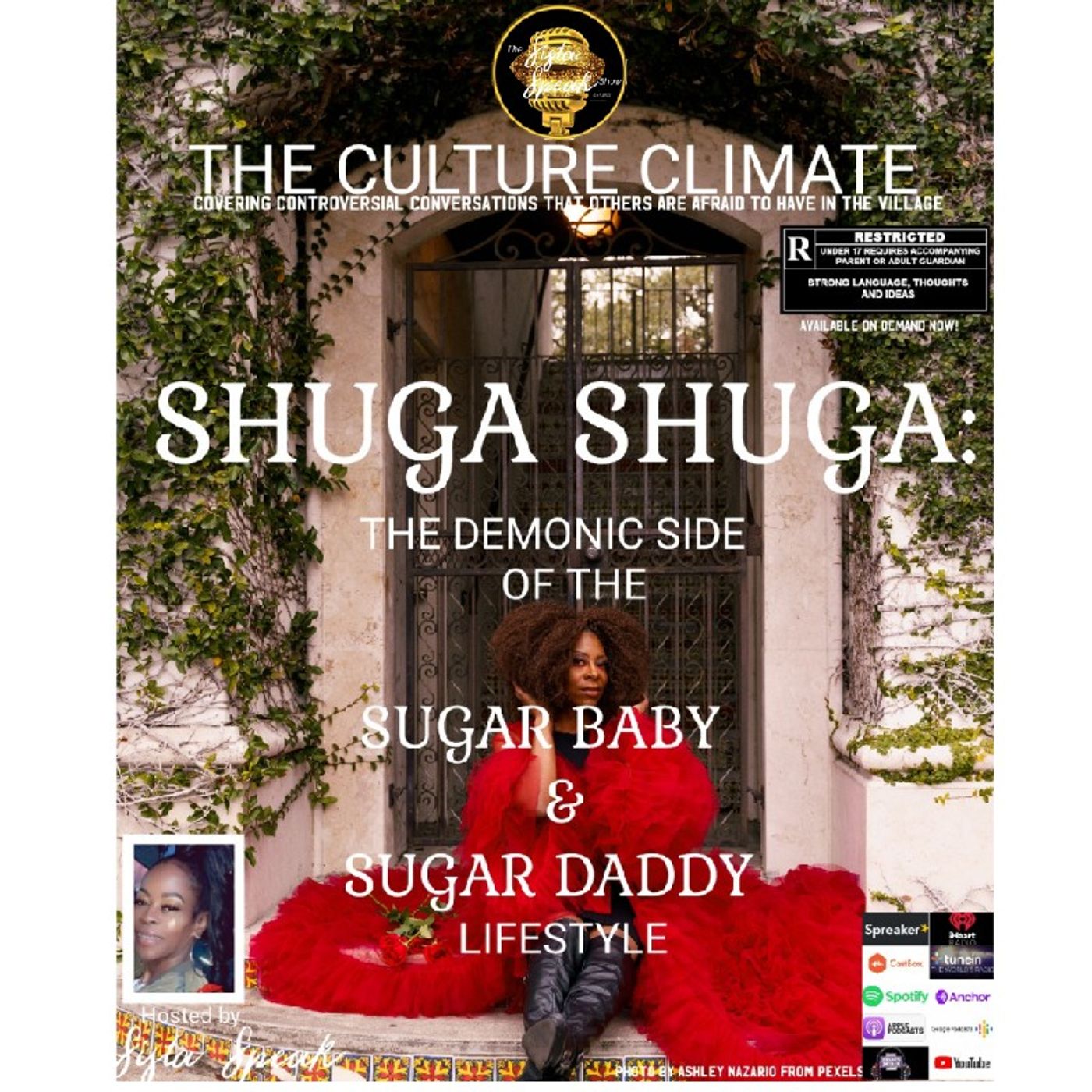 THE CULTURE CLIMATE•SHUGA SHUGA: The Demonic Side Of The Sugar Baby & Sugar Daddy Lifestyle episode artwork