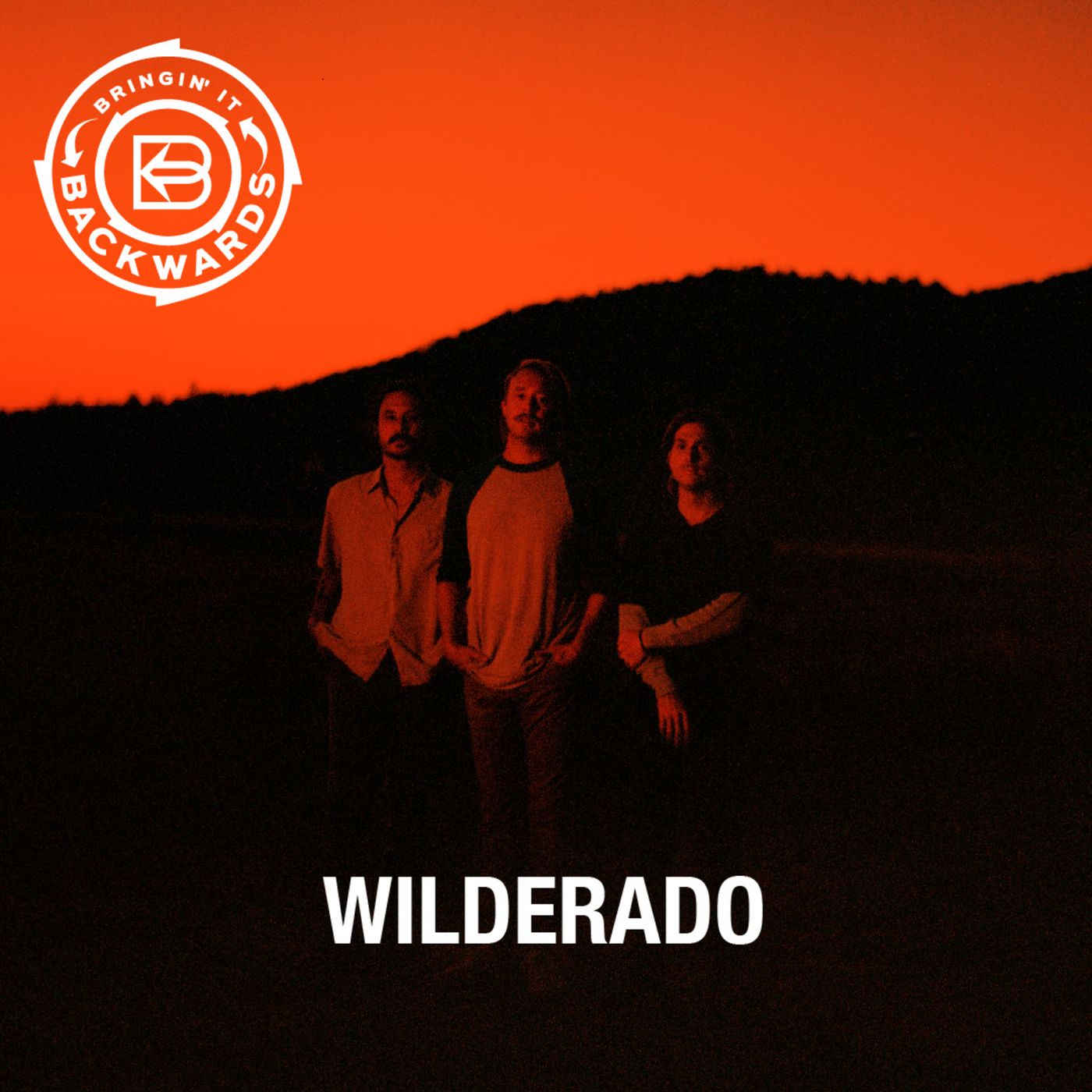 Interview with Wilderado