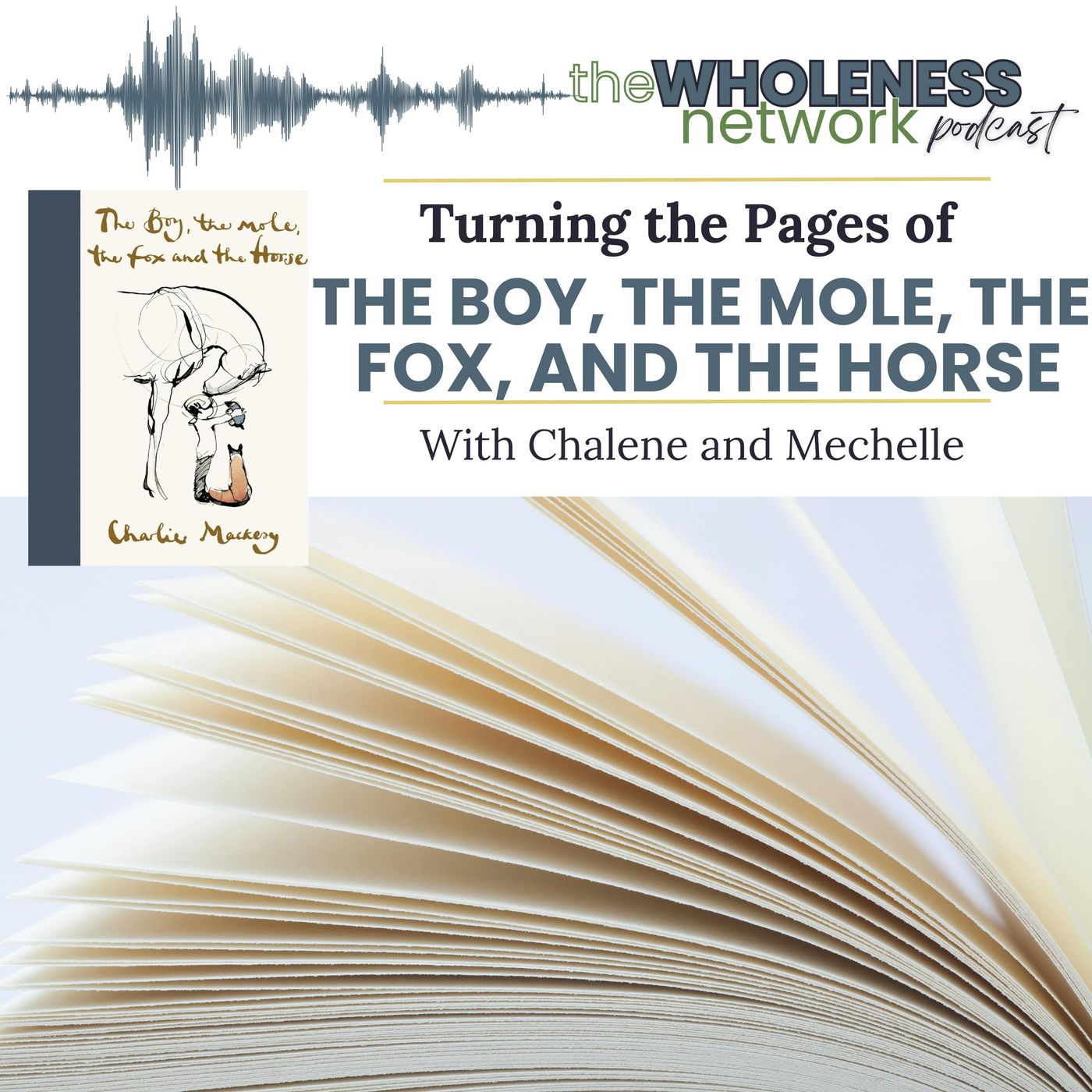 164. Intro to The Boy, the Mole, the Fox, and the Horse episode artwork