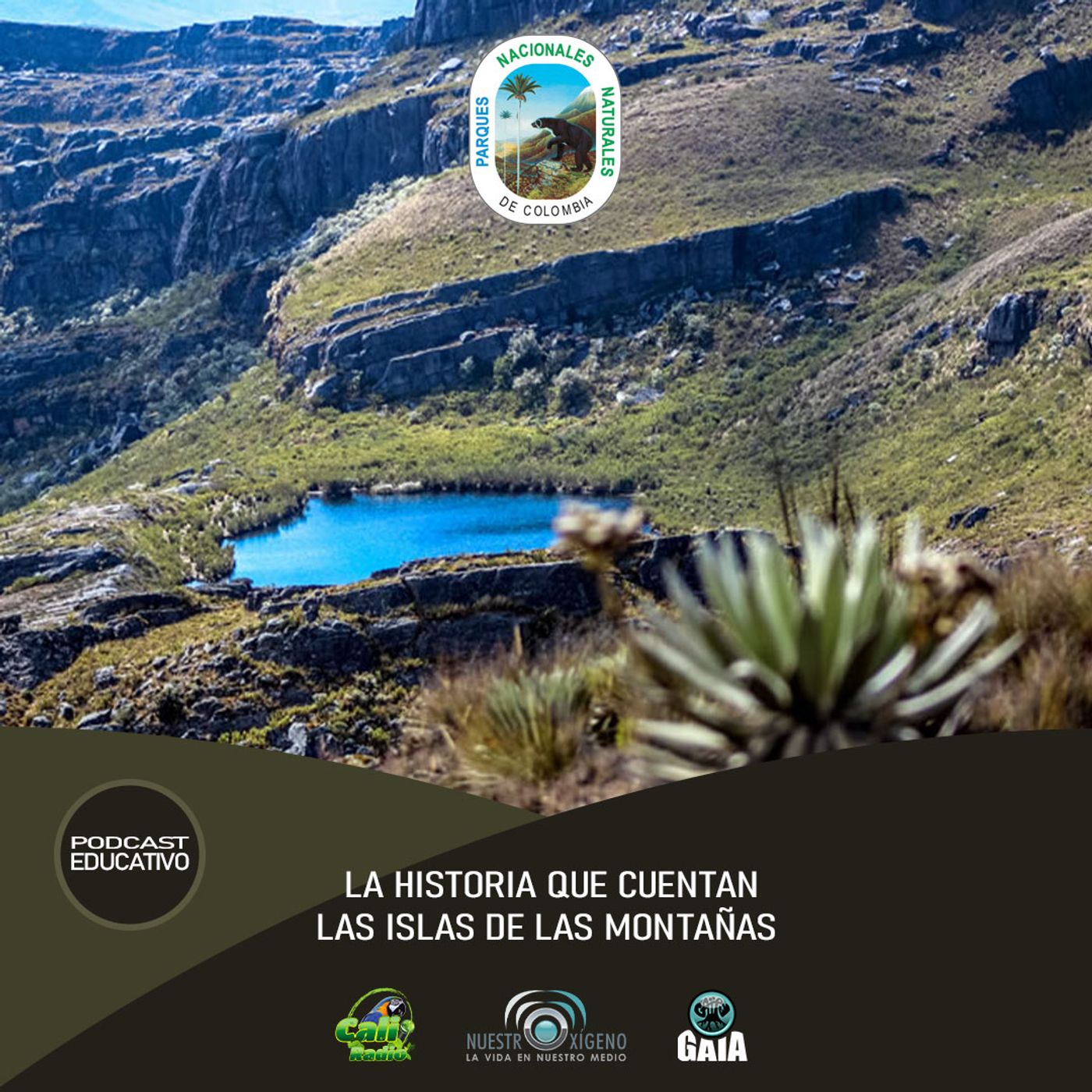 2024 Nuestro Oxigeno 01- Enero