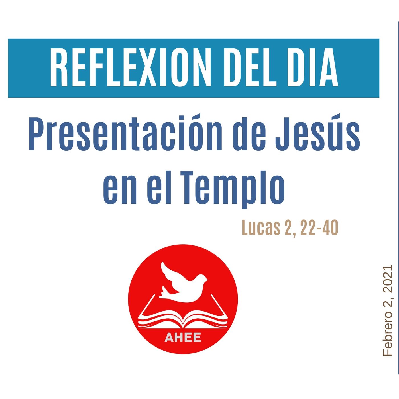 Reflexiones  del día