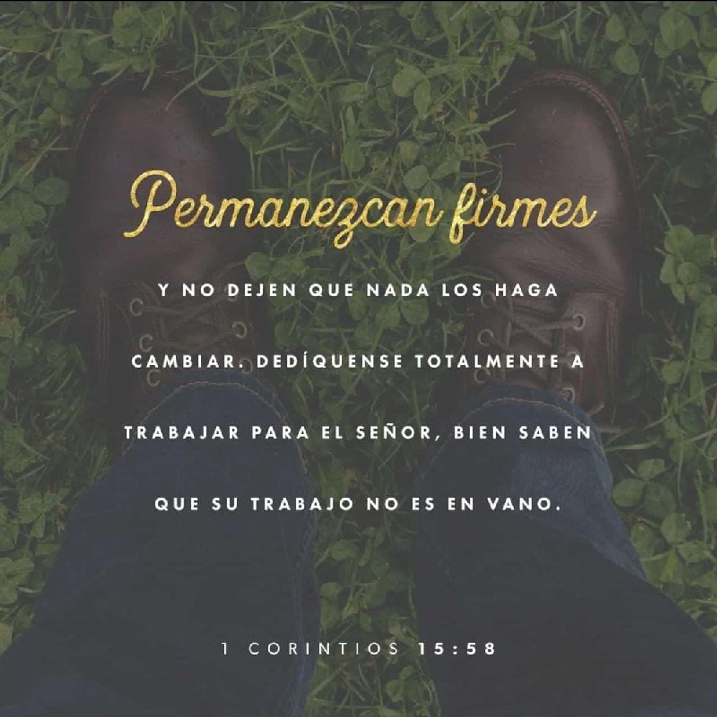 CAMPAÑA episode artwork