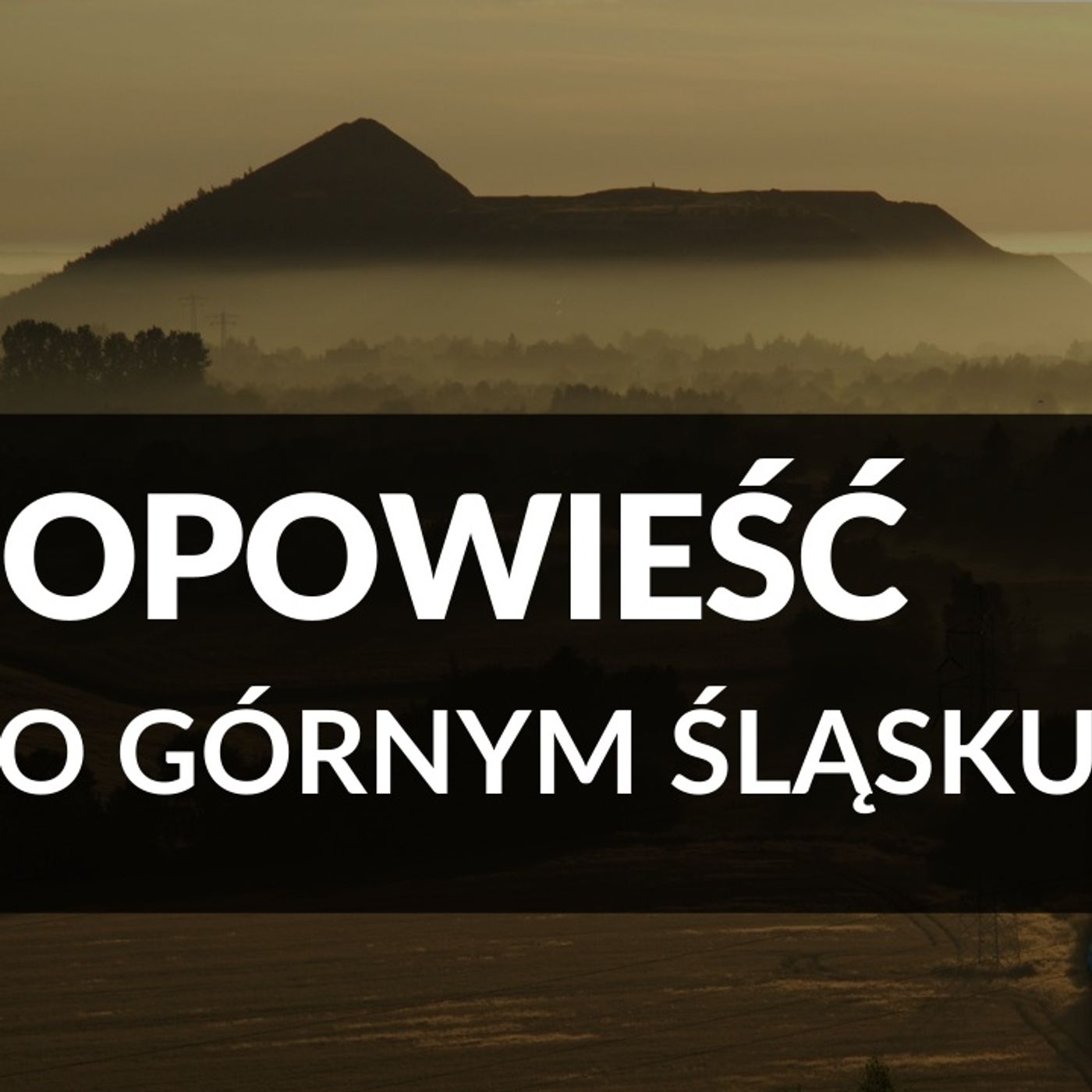 Zagłębie Młodych