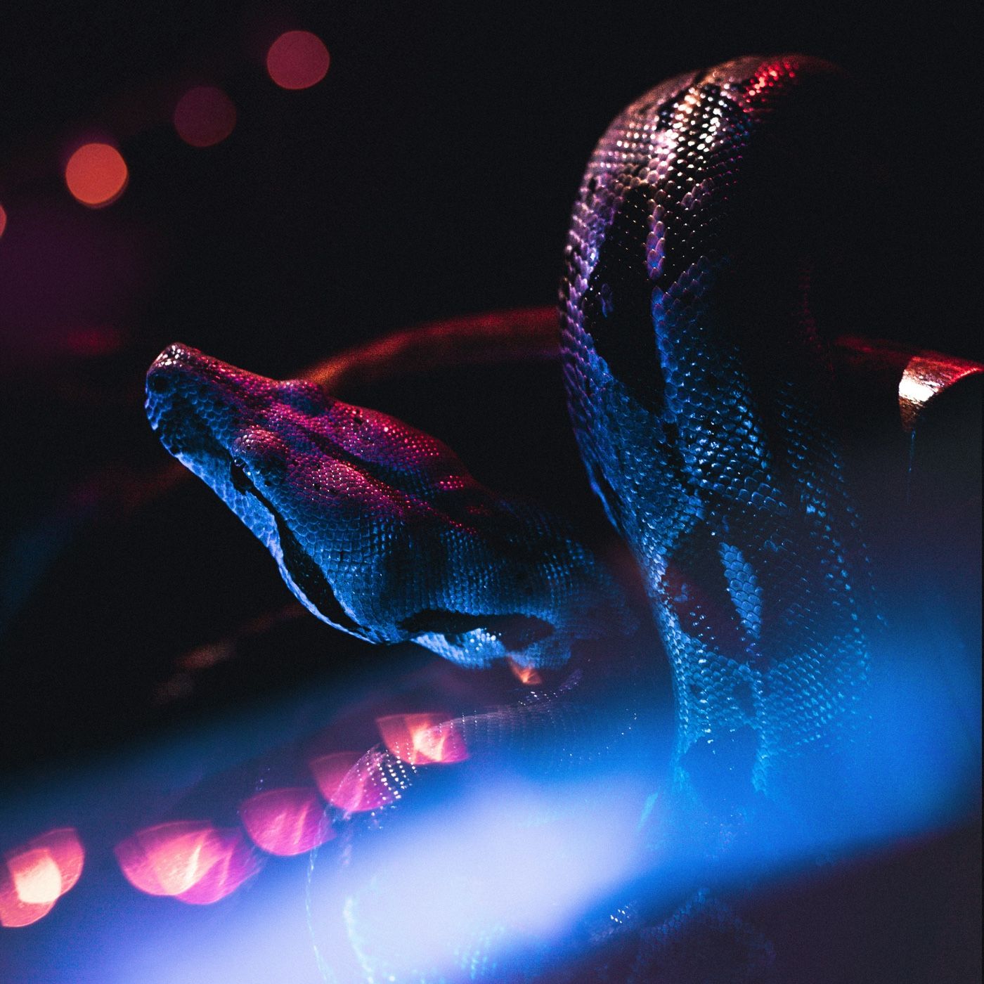 The Blacklight podcast artwork