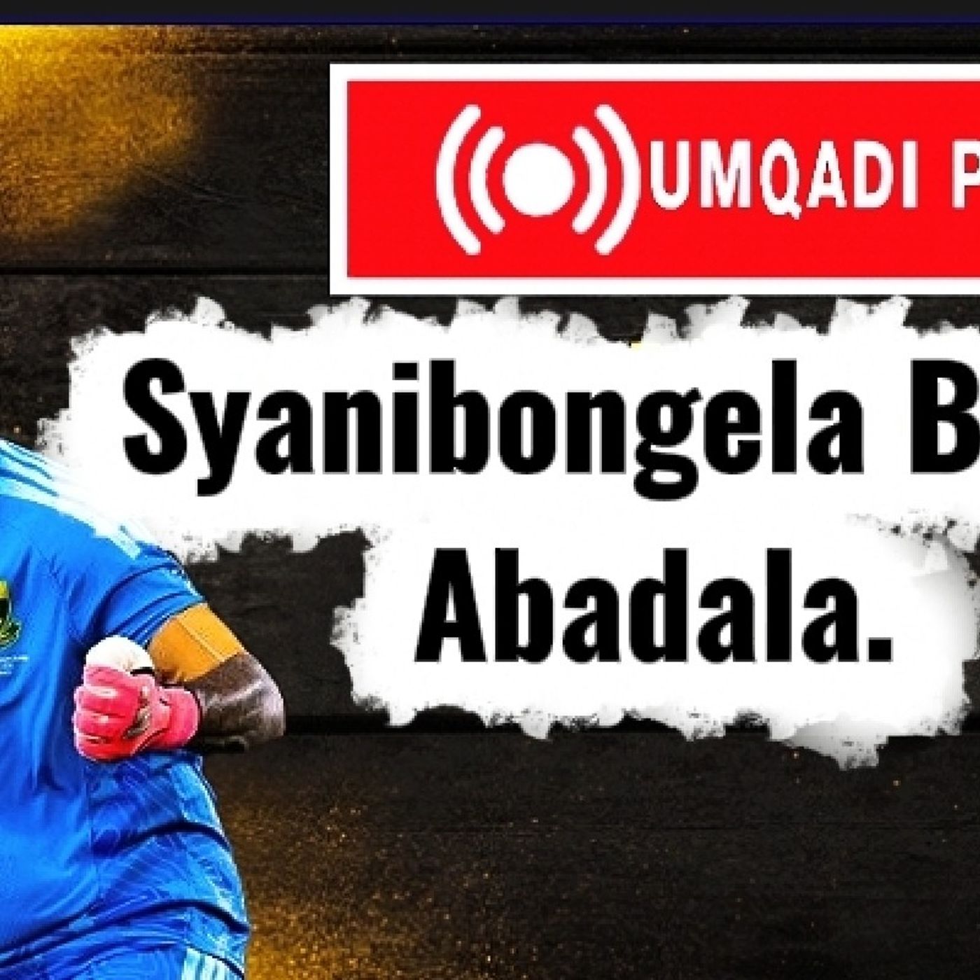 Mamelodi Sundowns Congratulations