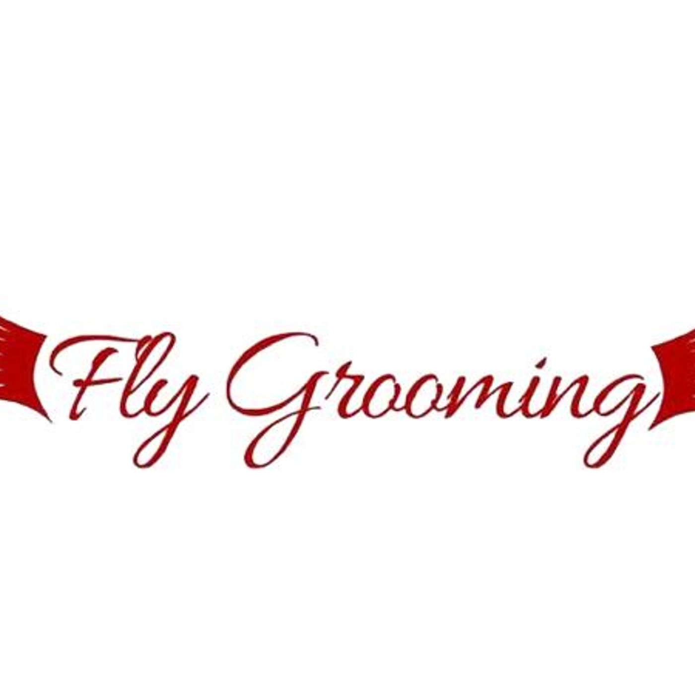 T.E.A Time: Willie Felton of Fly Grooming Barbershop of Warner Robins, Ga episode artwork