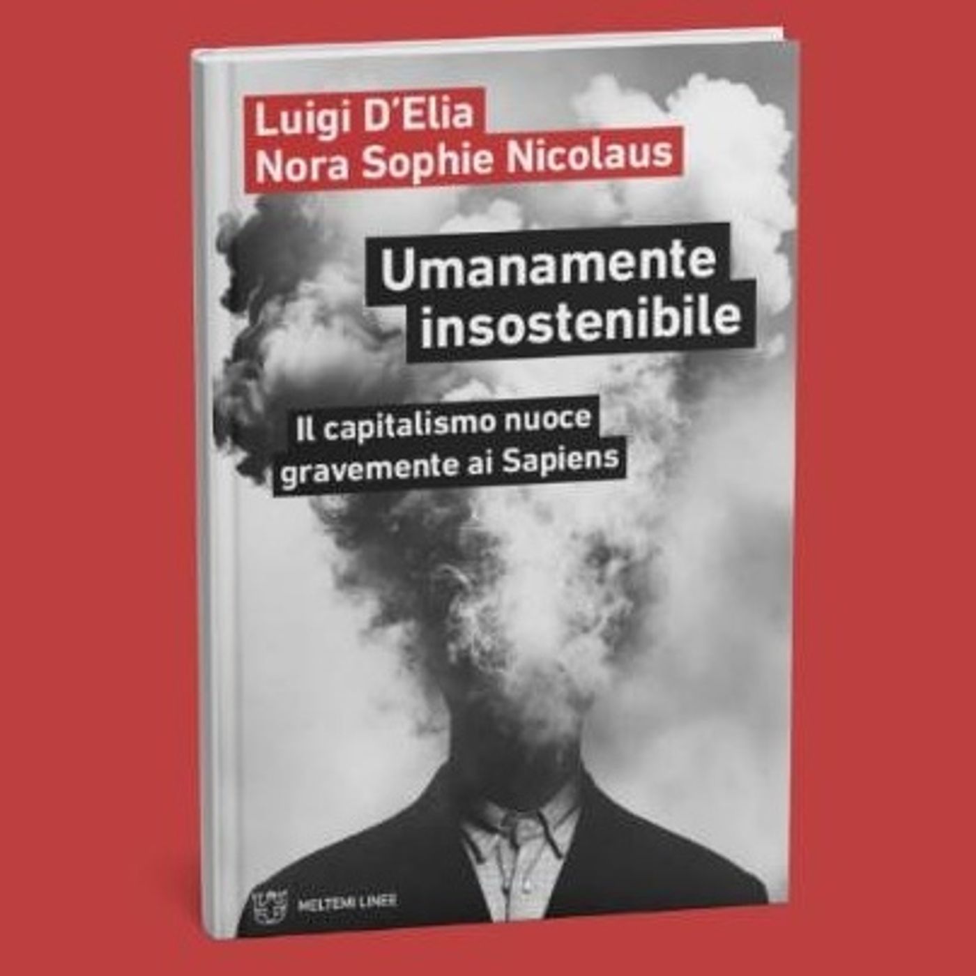 Frasivolanti blog - di Laura Ressa