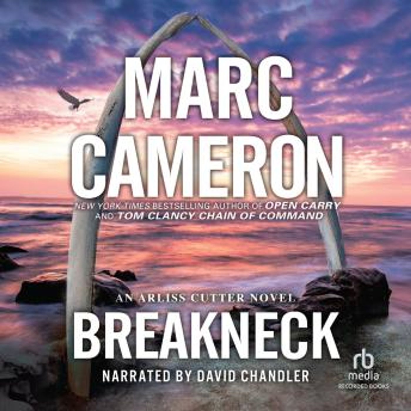 Get Best Full Audiobooks in Mystery, Thriller & Horror, Police & Detective