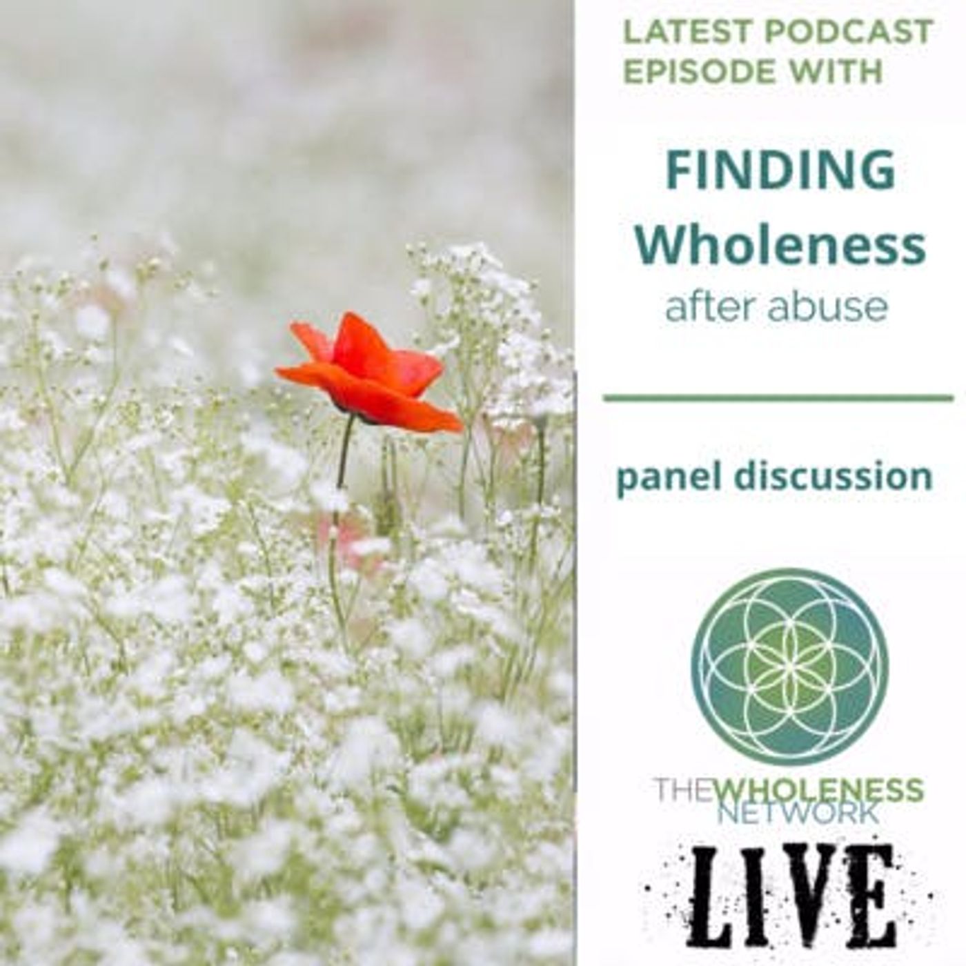 40. Finding Wholeness After Abuse episode artwork