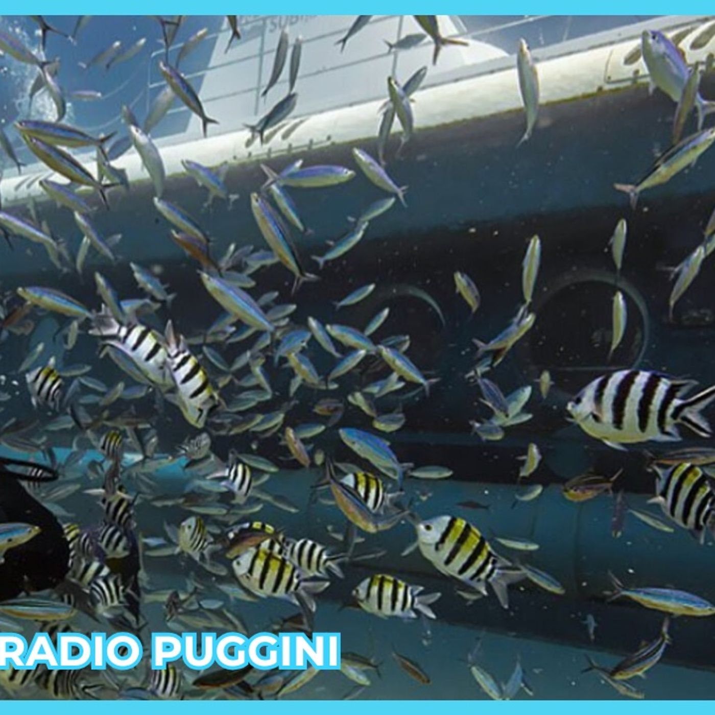 Naufragio Sottomarino nel Mar Rosso 27.03.2025 Radio Puggini episode artwork