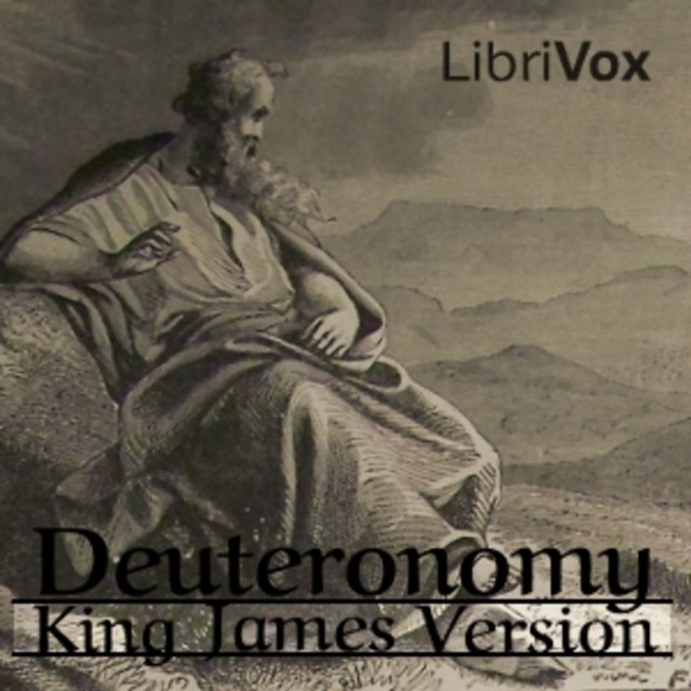 Chapters 23-25, Deuteronomy, King James Version, Librivox episode artwork