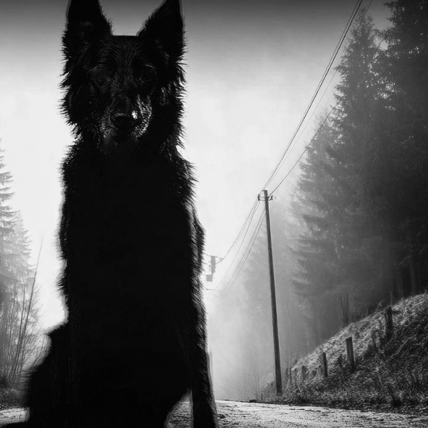 El NAHUAL Que Vive En El Monte Historias De Terror - REDE