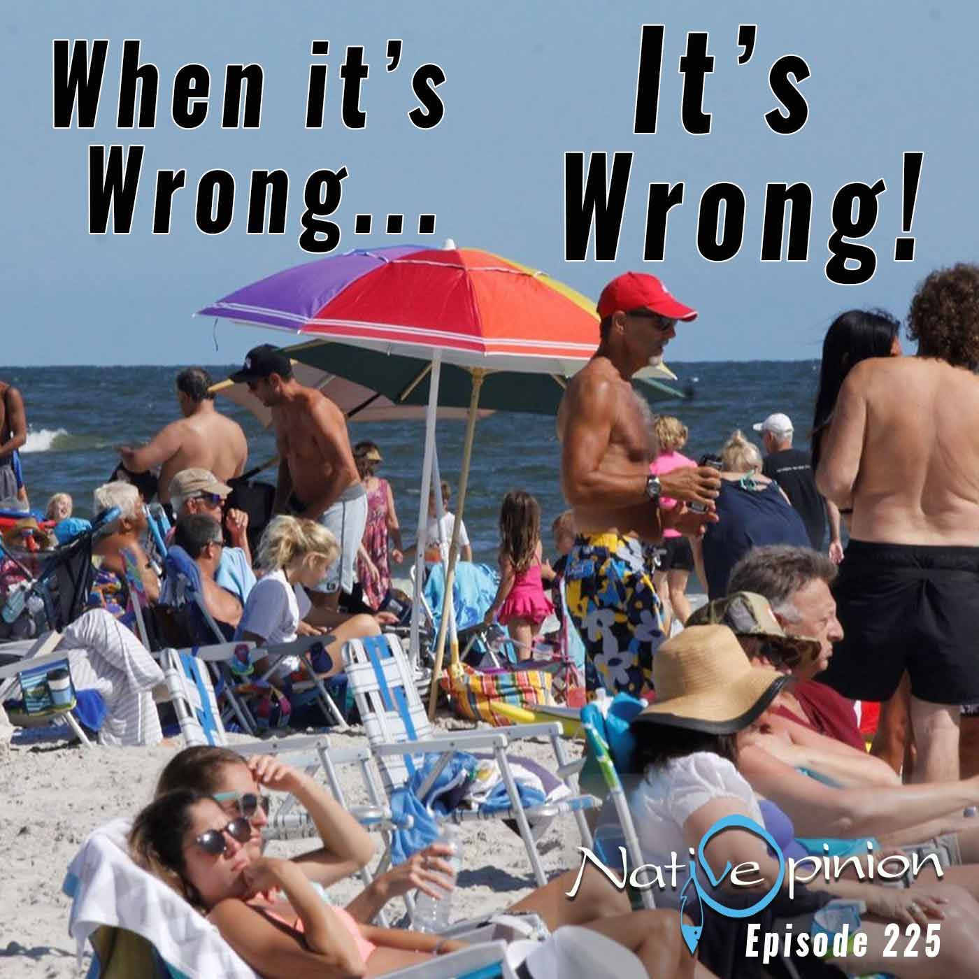 Episode 225 "When it's Wrong... it's Wrong" - podcast episode cover