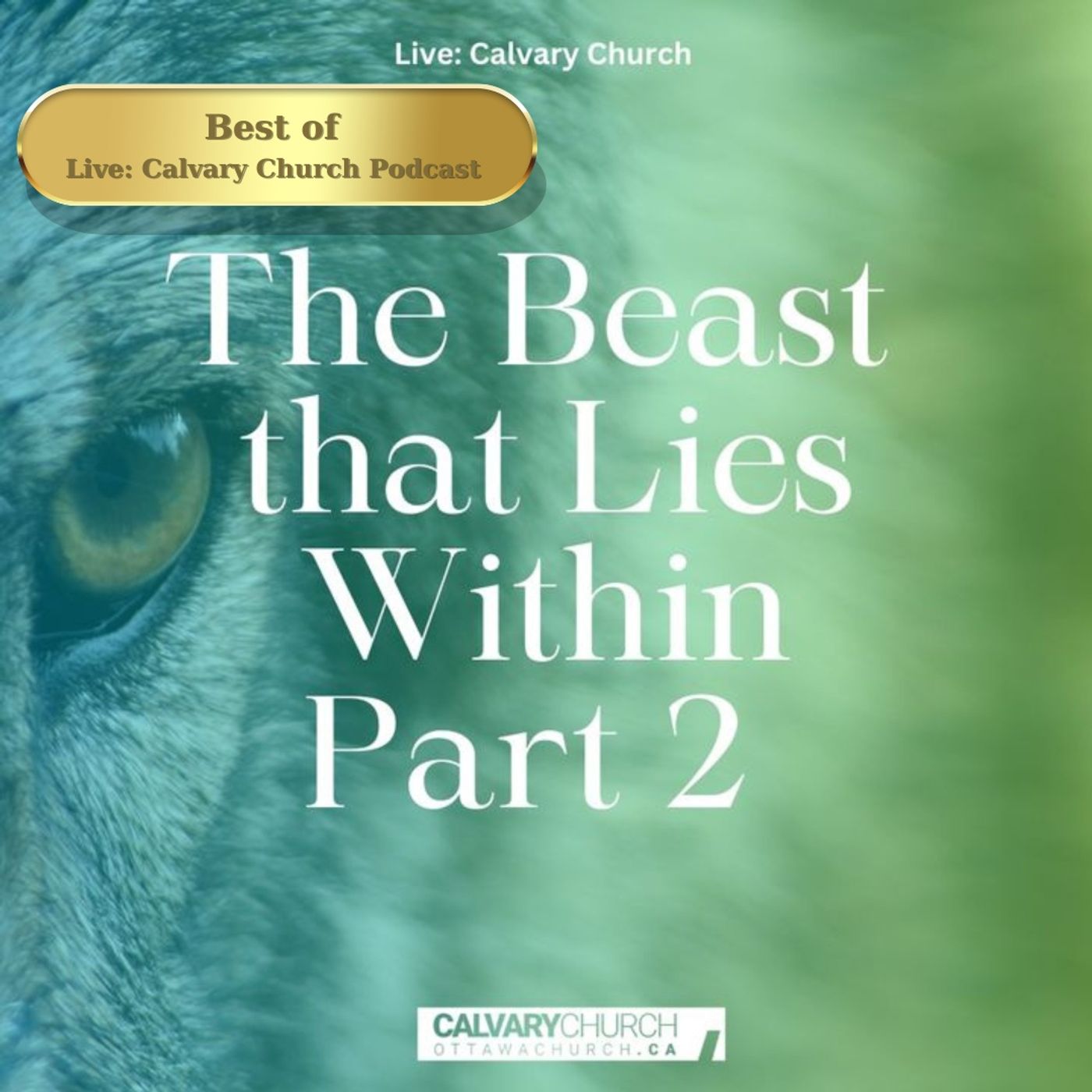 Best of: The Beast that Lies Within -Part 2. episode artwork