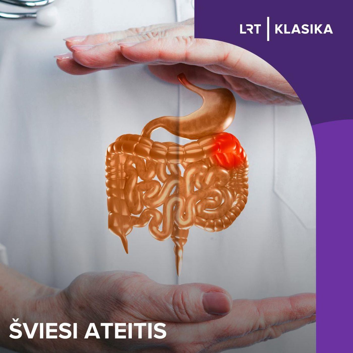 Šviesi ateitis. Psichobiotikai: kaip bakterijos organizme padės kovoti su nerimu ir depresija?